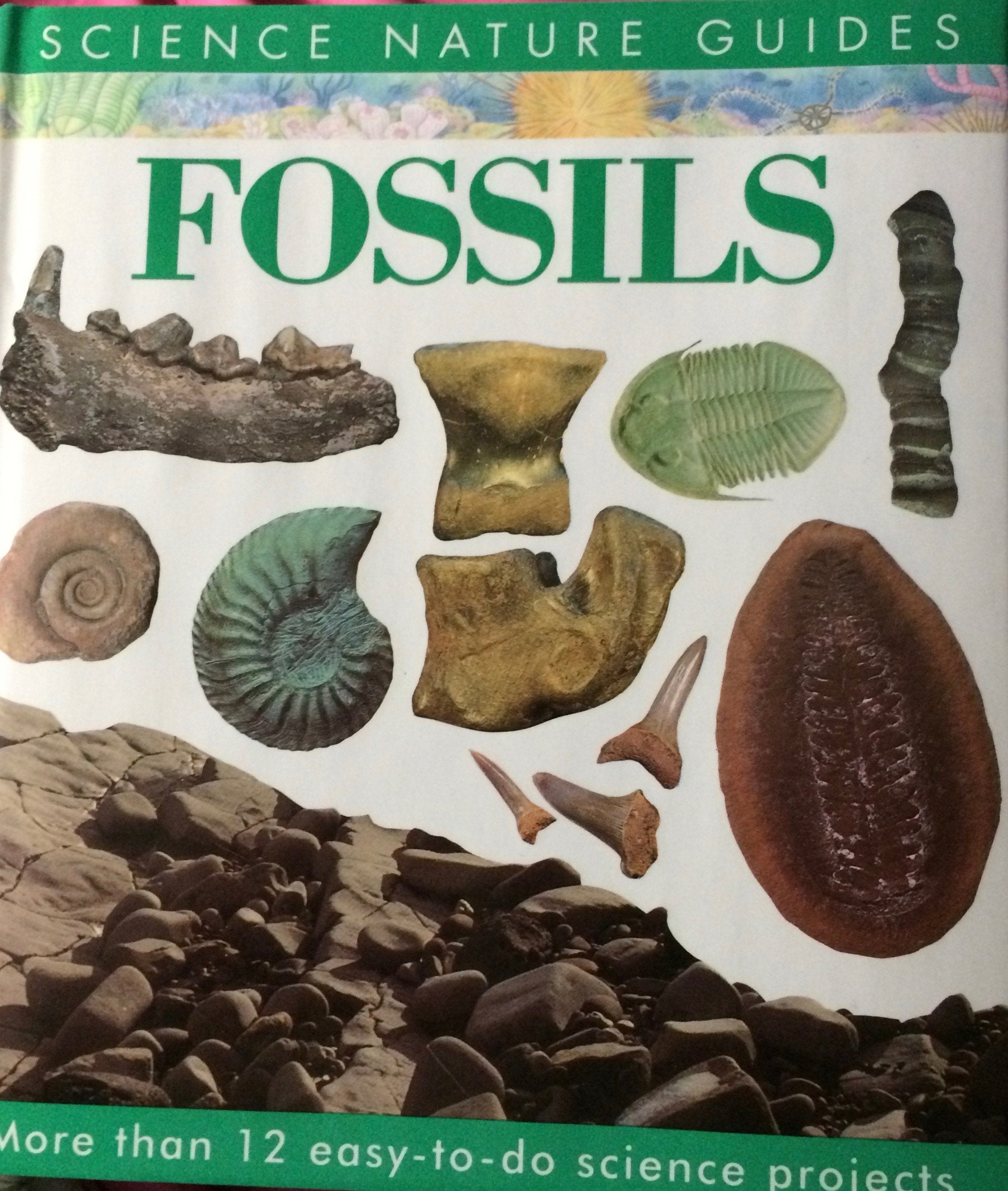 Fossils (Science Nature Guides),Used