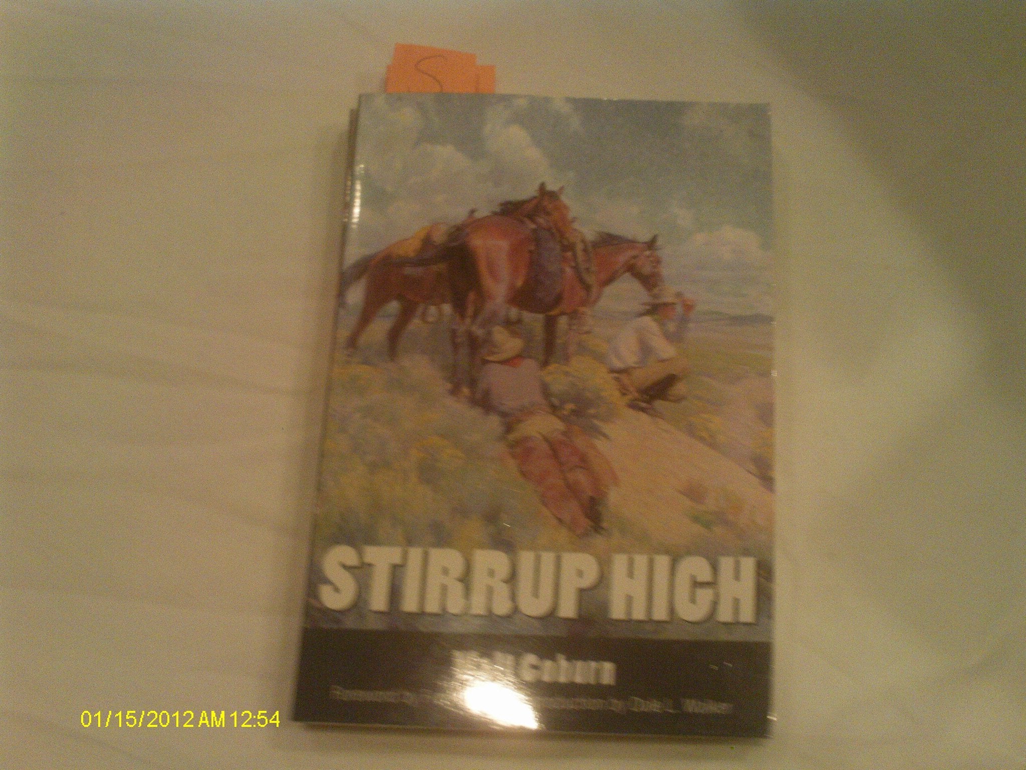 Stirrup High,Used
