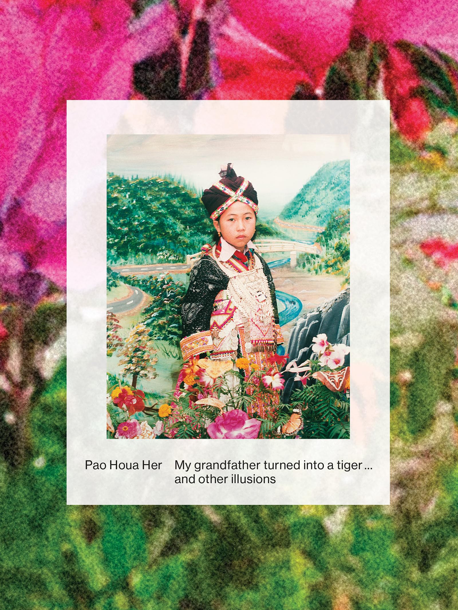 Pao Houa Her: My Grandfather Turned Into A Tiger ... And Other Illusions,Used