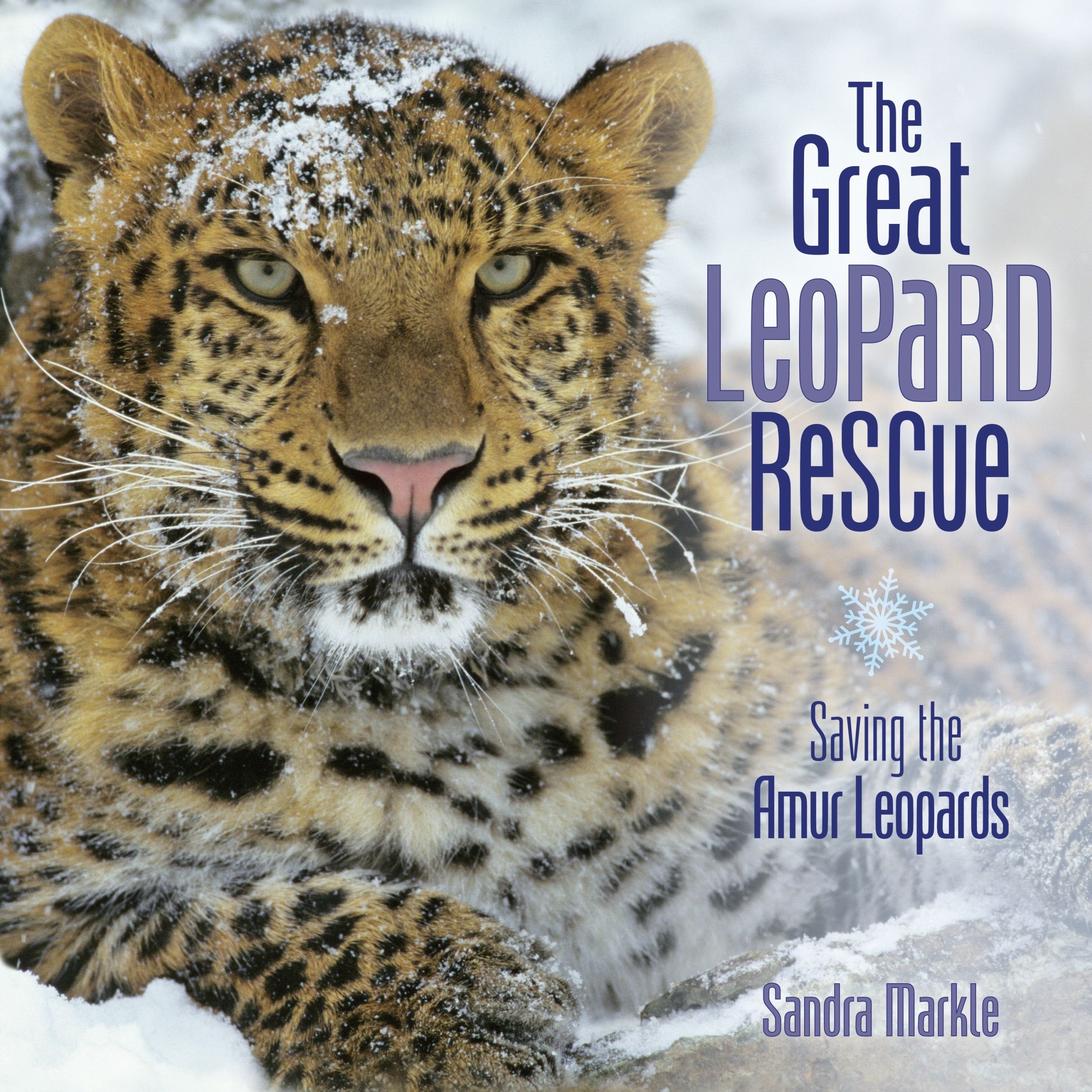 The Great Leopard Rescue: Saving the Amur Leopards (Sandra Markle's Science Discoveries),Used