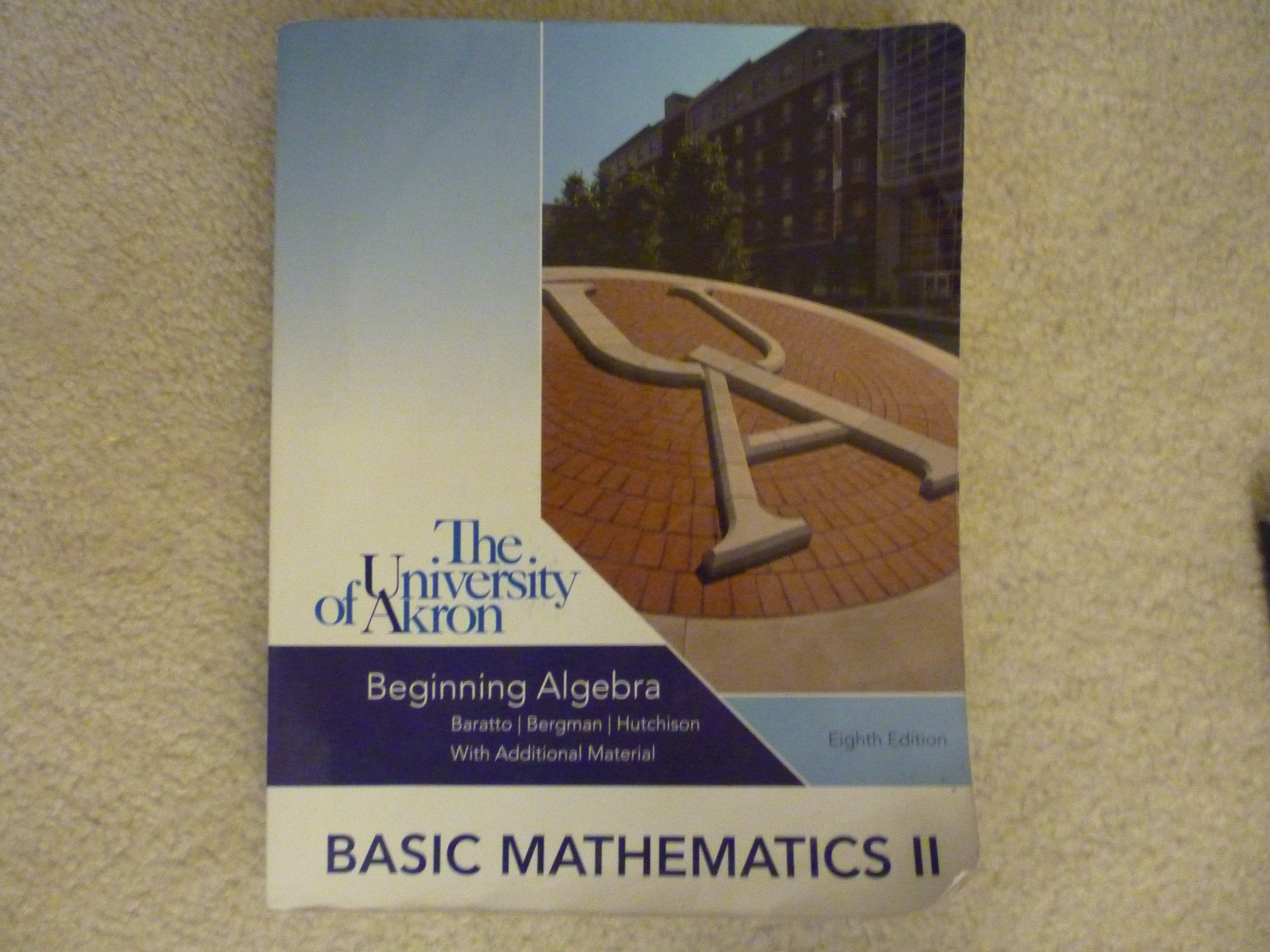 BEGINNING ALGEBRA >CUSTOM,Used