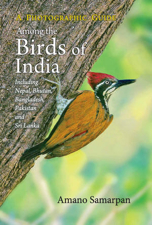 Among The Birds Of India: A Photographic Guide (Including Nepal, Bhutan, Bangladesh, Pakistan And Sri Lanka)