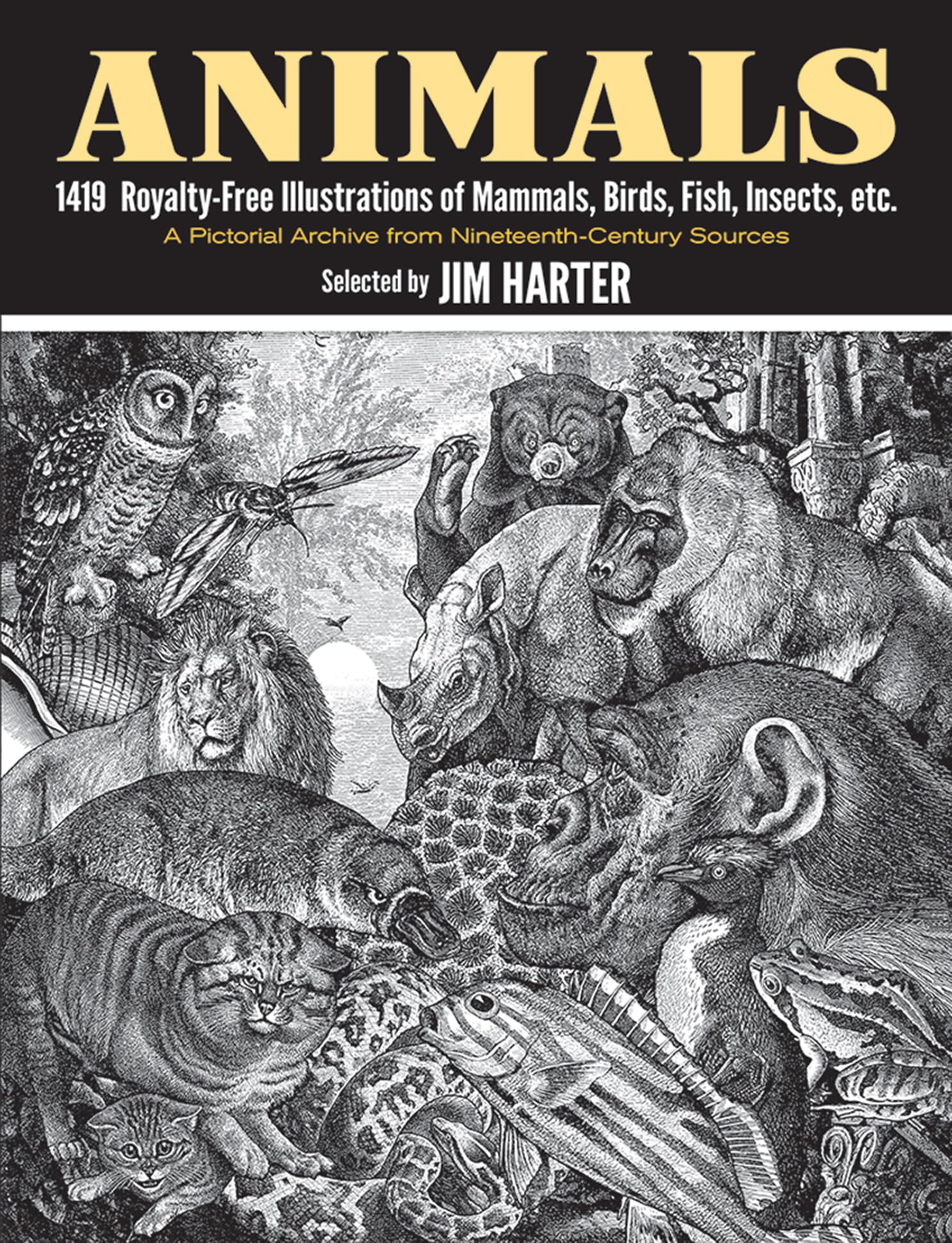 Animals: 1,419 Copyrightfree Illustrations Of Mammals, Birds, Fish, Insects, Etc (Dover Pictorial Archive)