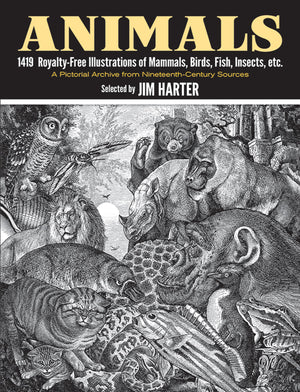 Animals: 1,419 Copyrightfree Illustrations Of Mammals, Birds, Fish, Insects, Etc (Dover Pictorial Archive)