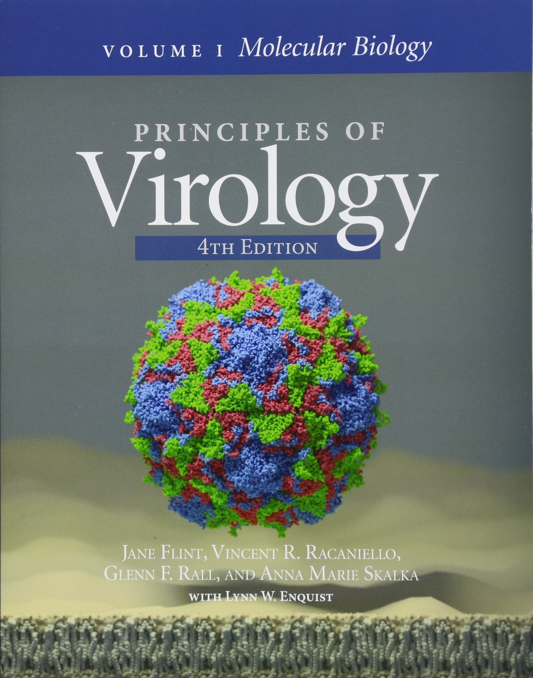 Principles Of Virology: Volume 1: Molecular Biology