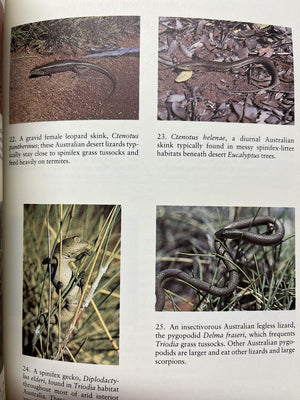 Ecology And Natural History Of Desert Lizards: Analyses Of The Ecological Niche And Community Structure (Princeton Legacy Librar,Used
