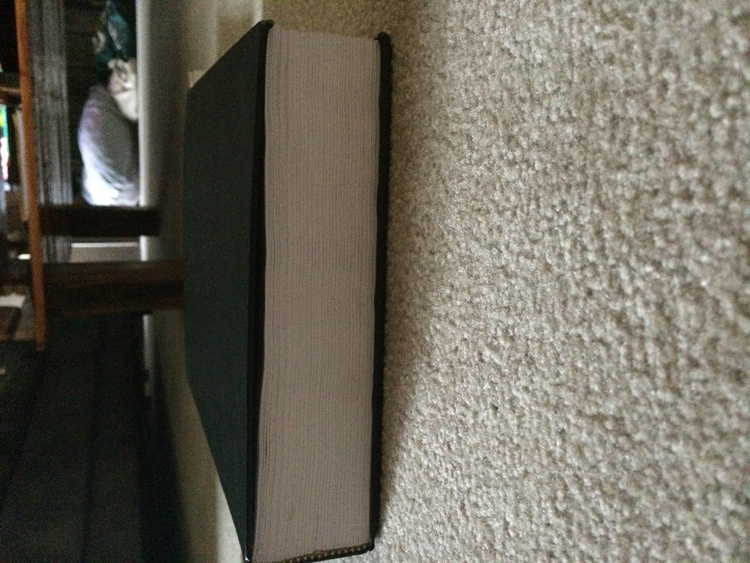 Janson's History of Art: The Western Tradition (8th Edition),Used