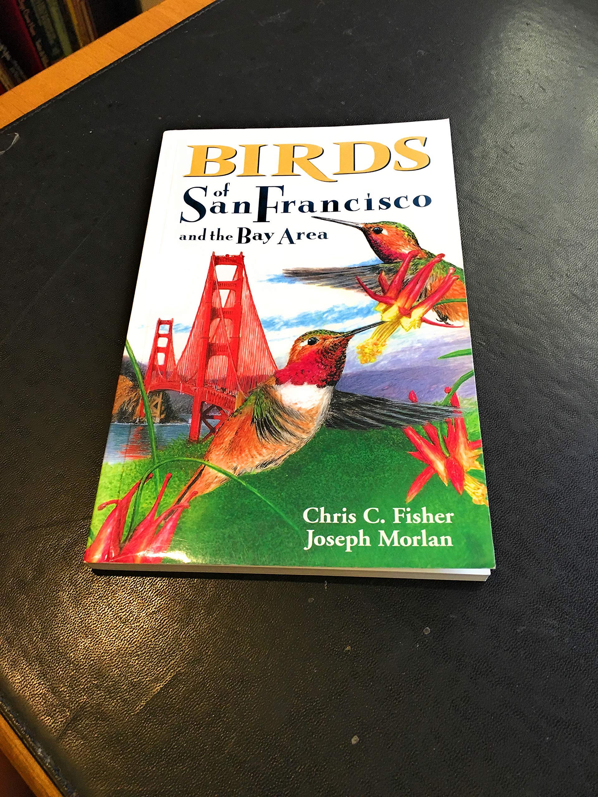 Birds of San Francisco: and the Bay Area,Used