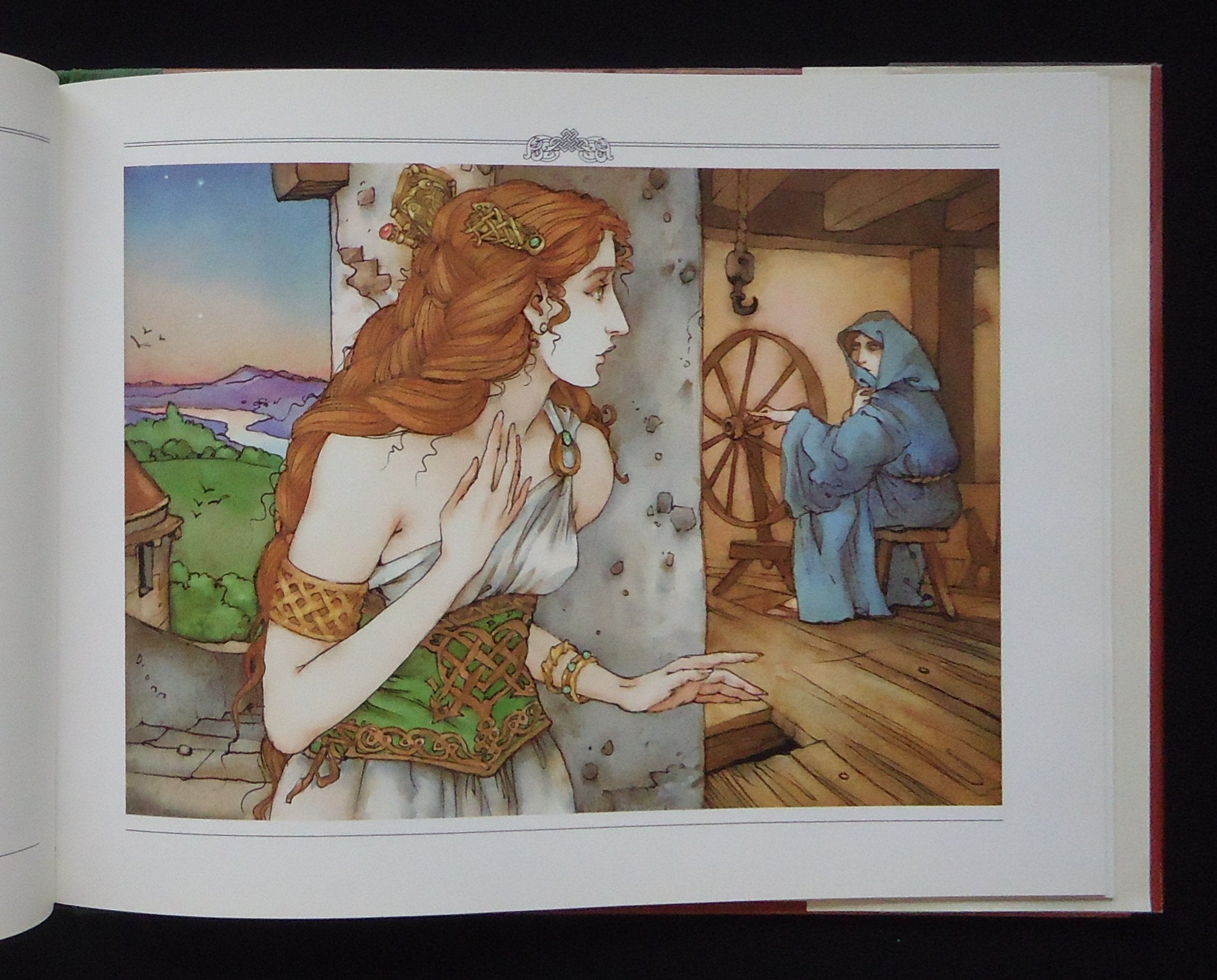 Sleeping Beauty,Used