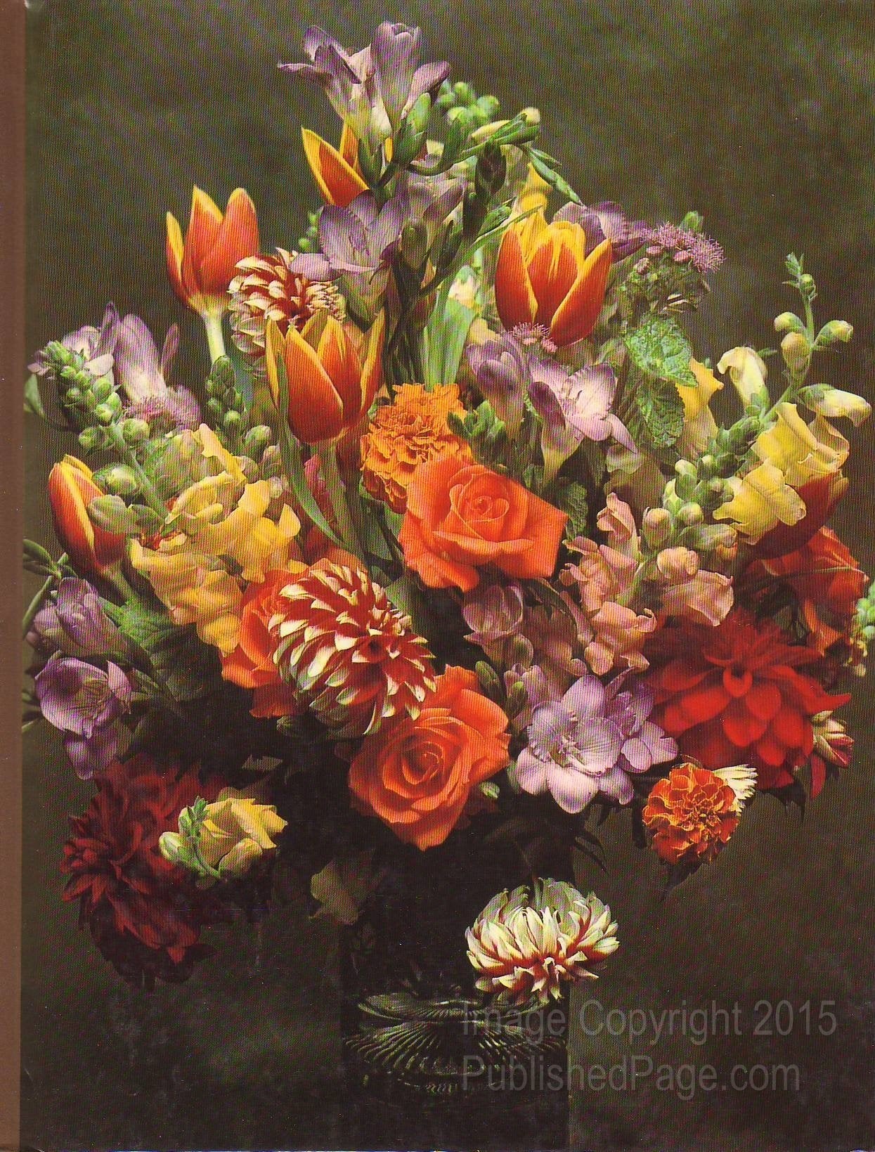 Decorating with plants (The TimeLife encyclopedia of gardening),Used