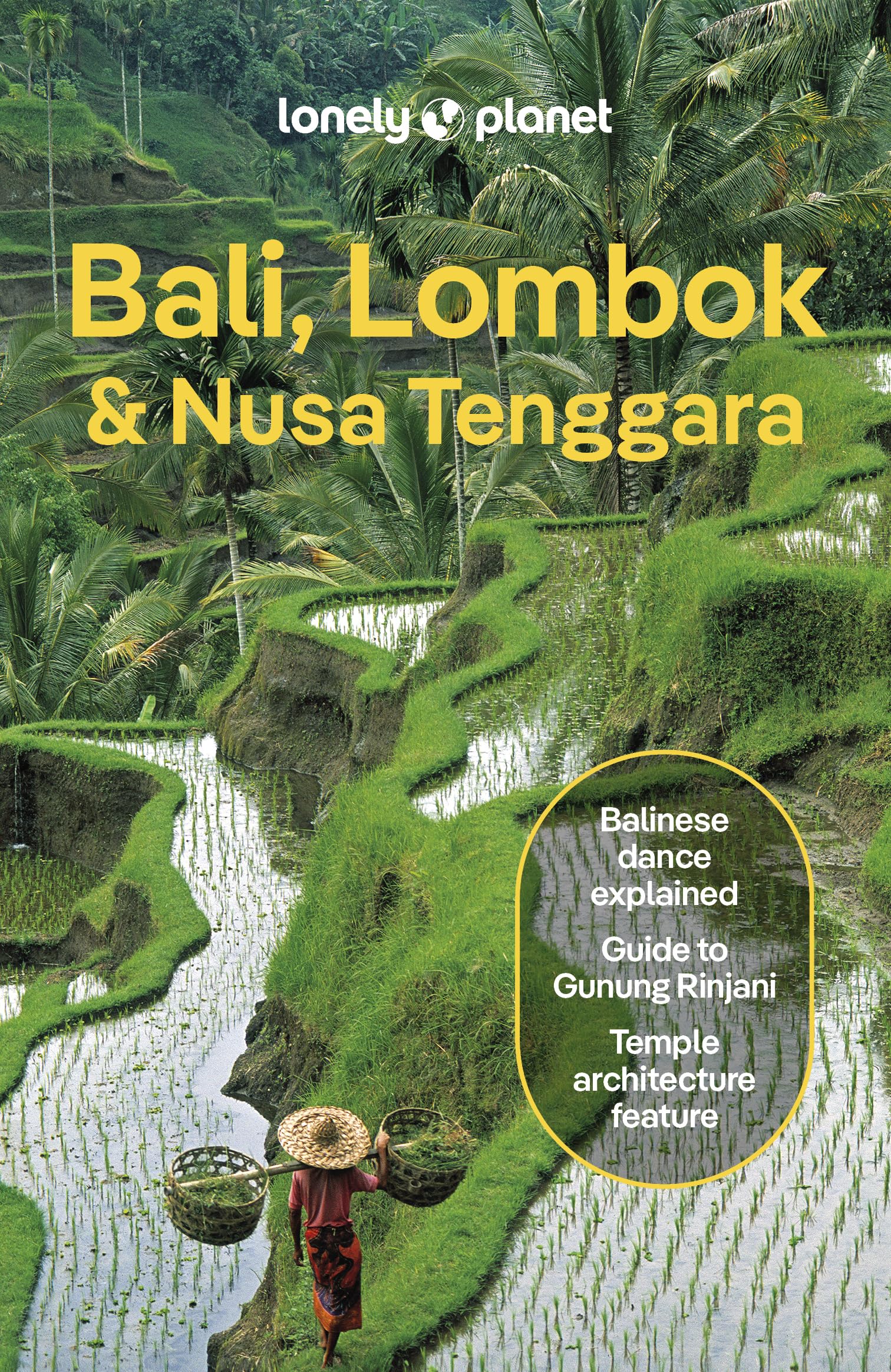 Lonely Planet Bali, Lombok & Nusa Tenggara (Travel Guide),New