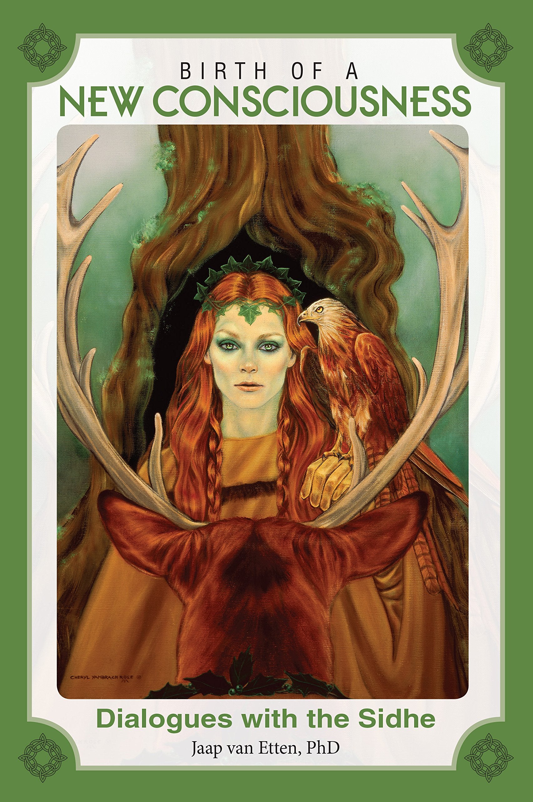 Birth of a New Consciousness: Dialogues with the Sidhe,Used