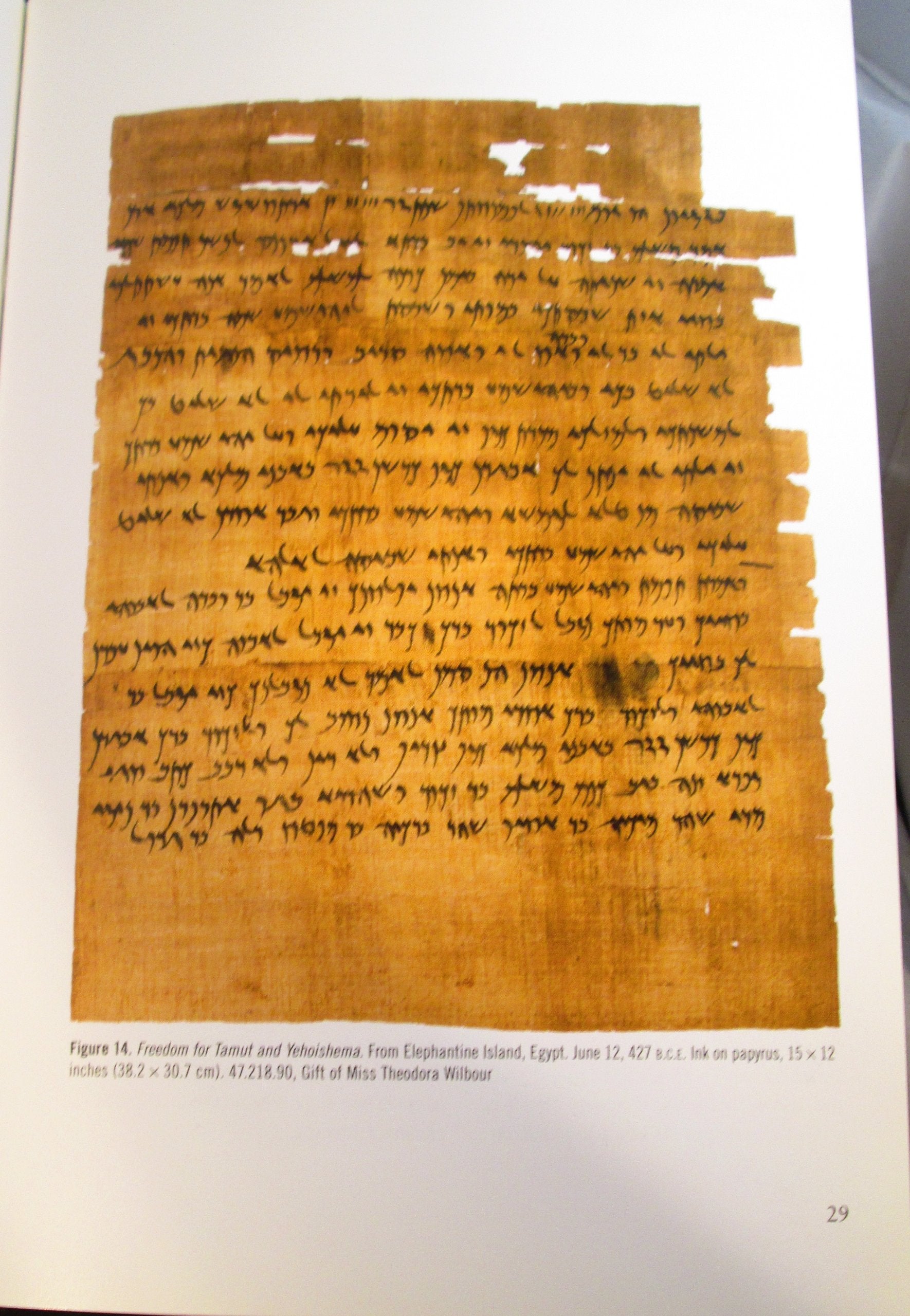 Jewish life in ancient Egypt: A family archive from the Nile Valley,Used