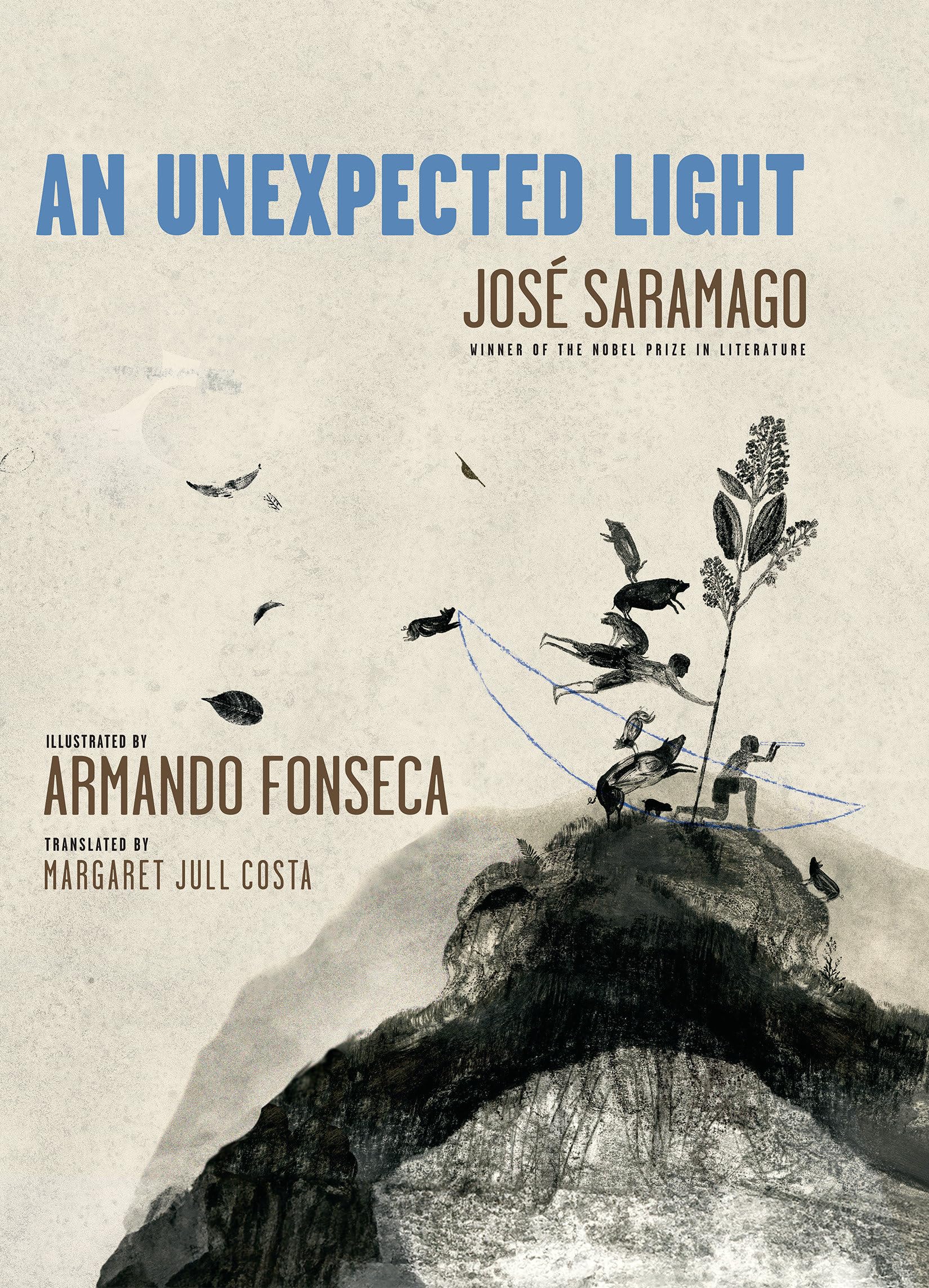 An Unexpected Light,Used