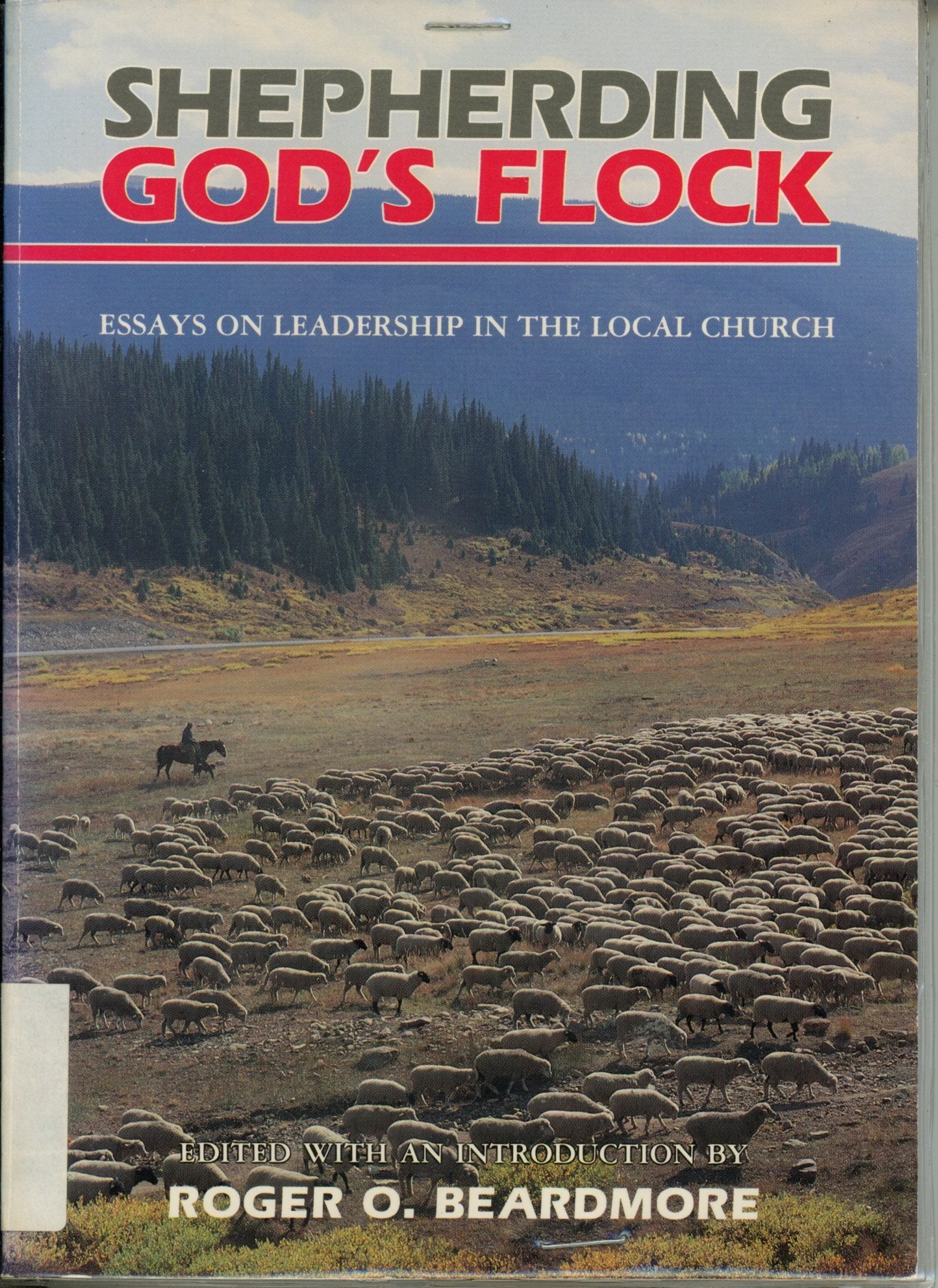 Shepherding God's Flock: Biblical Leadership in the New Testament and Beyond,Used