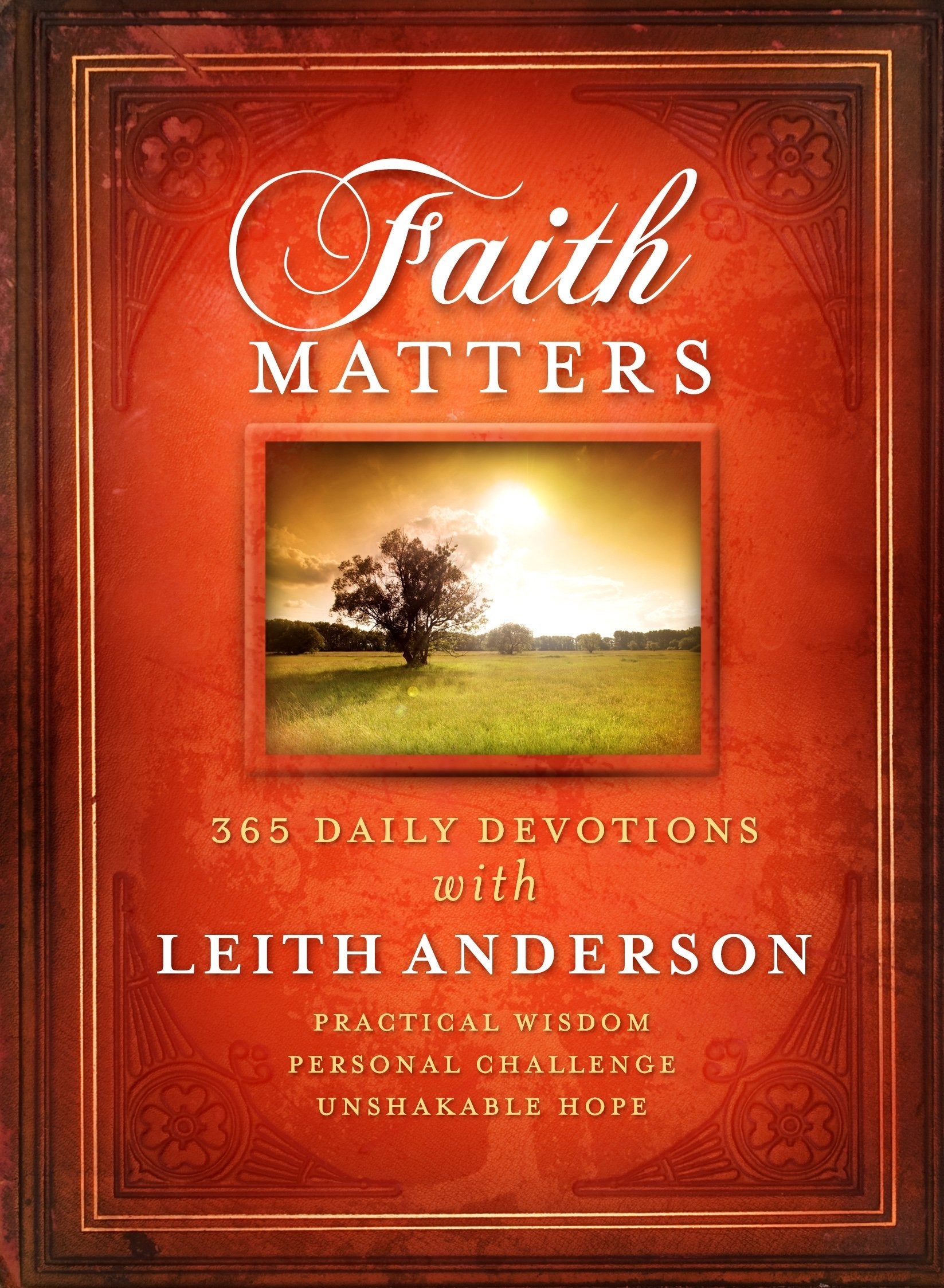 Faith Matters: 365 daily devotions with Leith Anderson,New