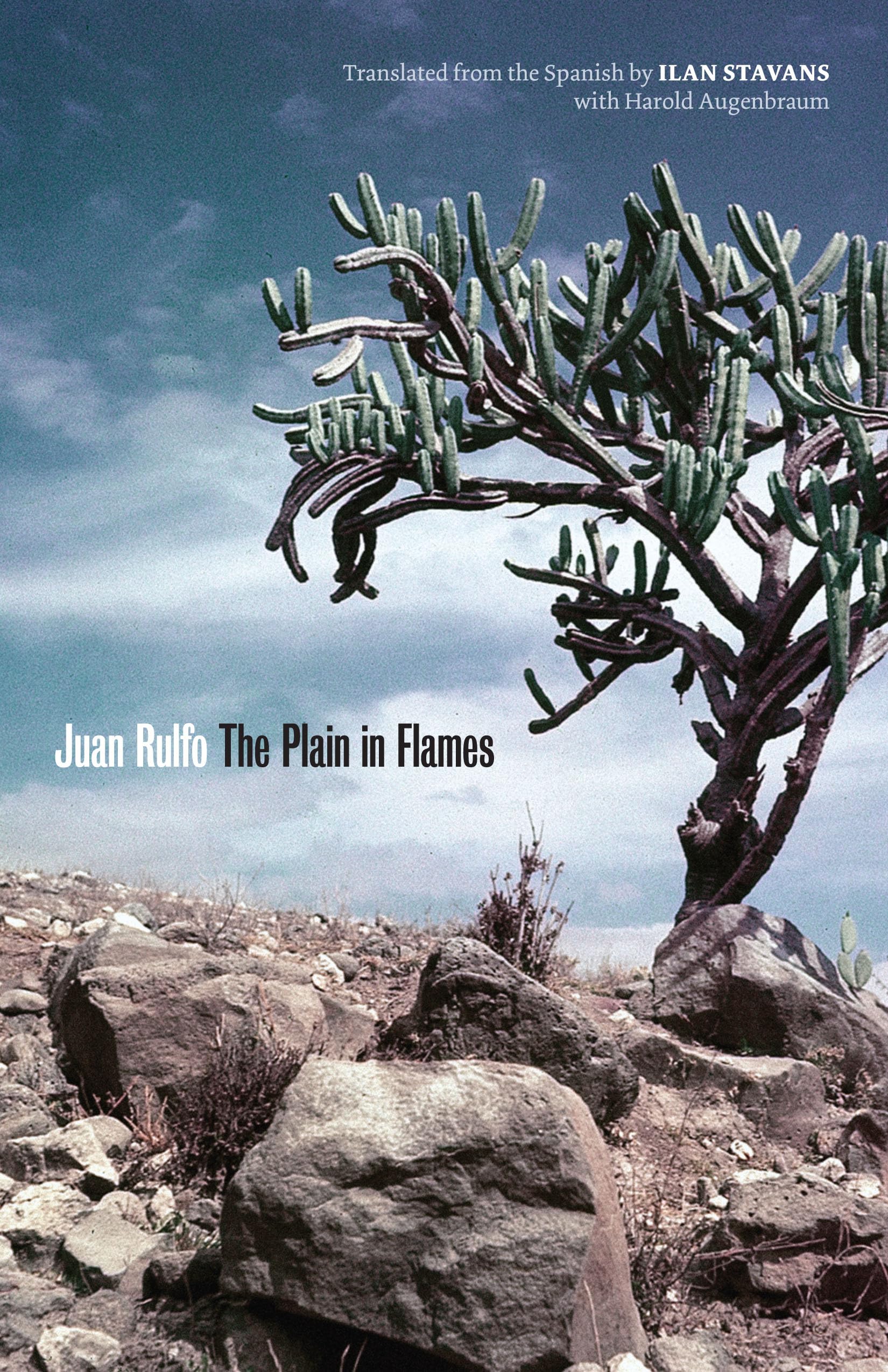 The Plain in Flames (Joe R. and Teresa Lozano Long Series in Latin American and Latino Art and Culture),Used
