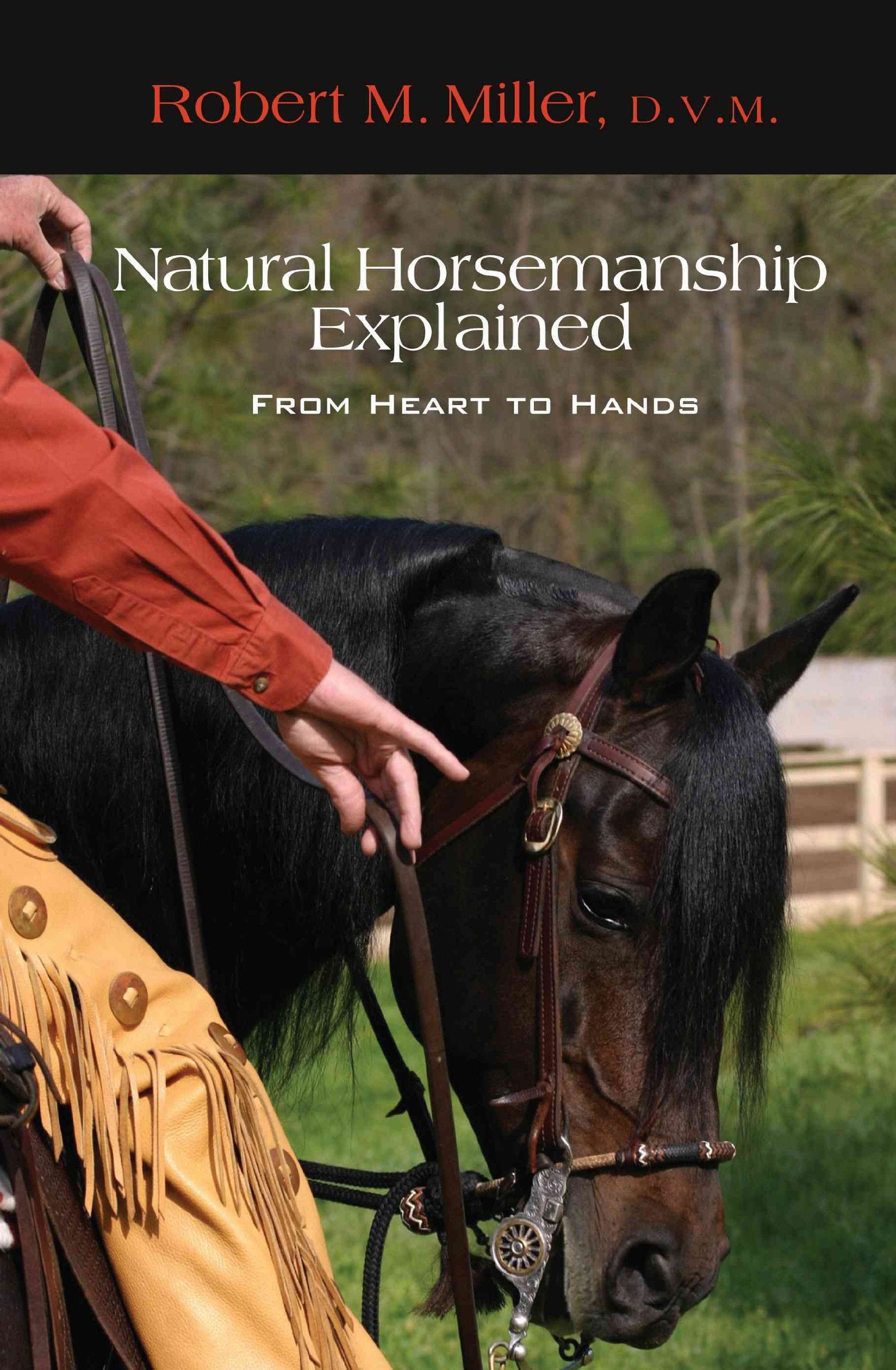 Natural Horsemanship Explained: From Heart To Hands