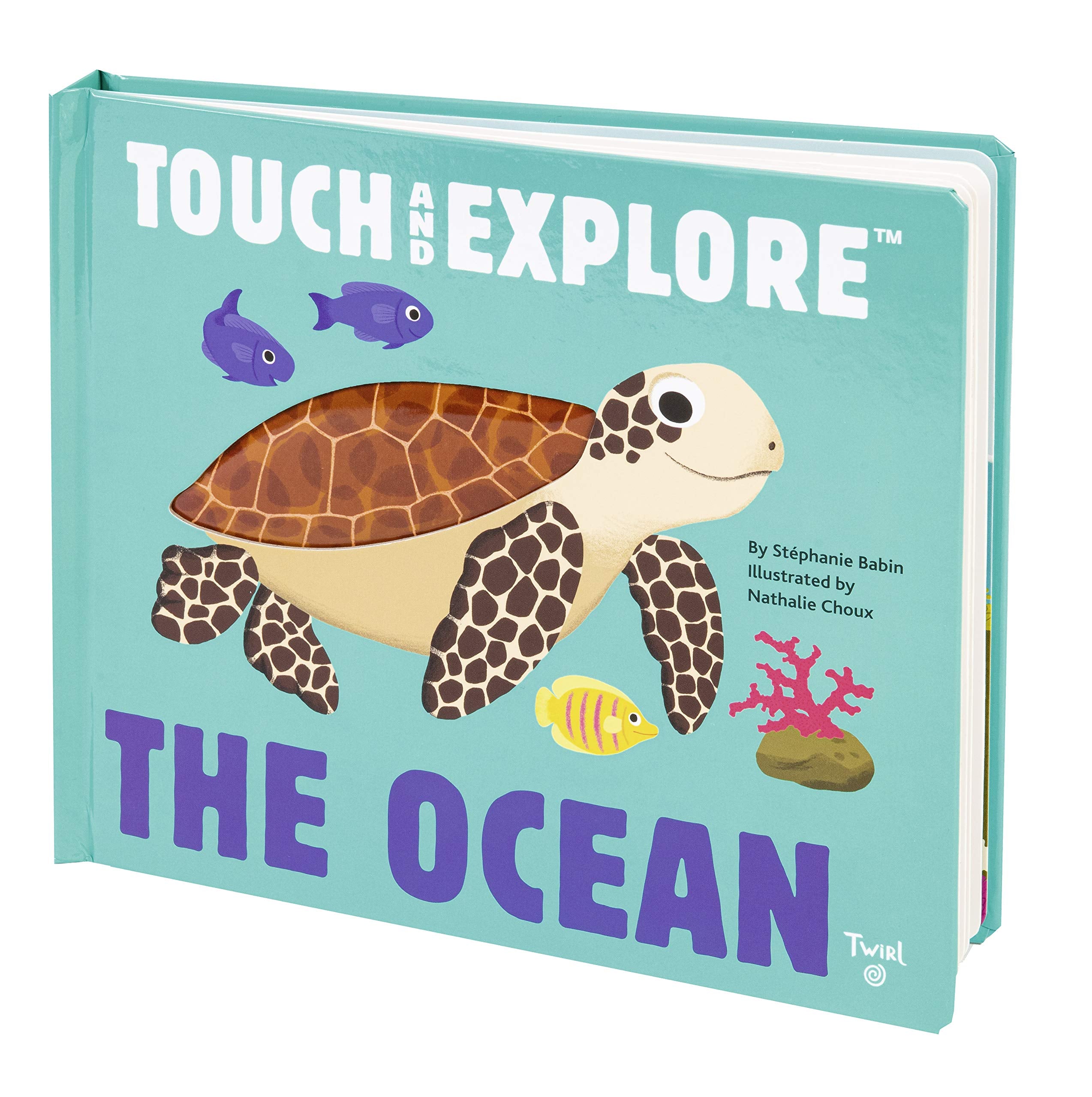 The Ocean (Touch and Explore) (Touch and Explore, 1),Used