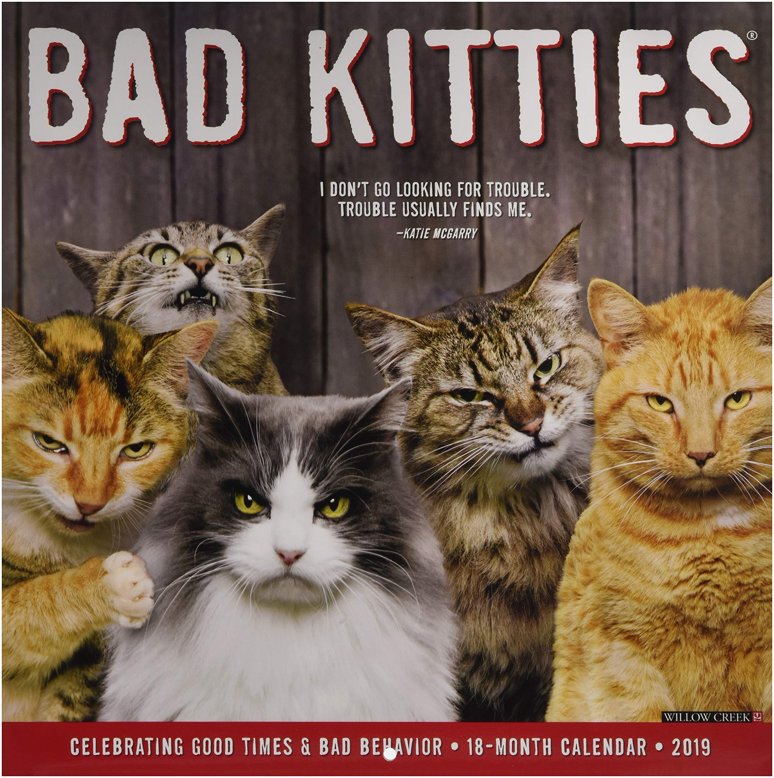 Bad Kitties 2019 Wall Calendar,Used