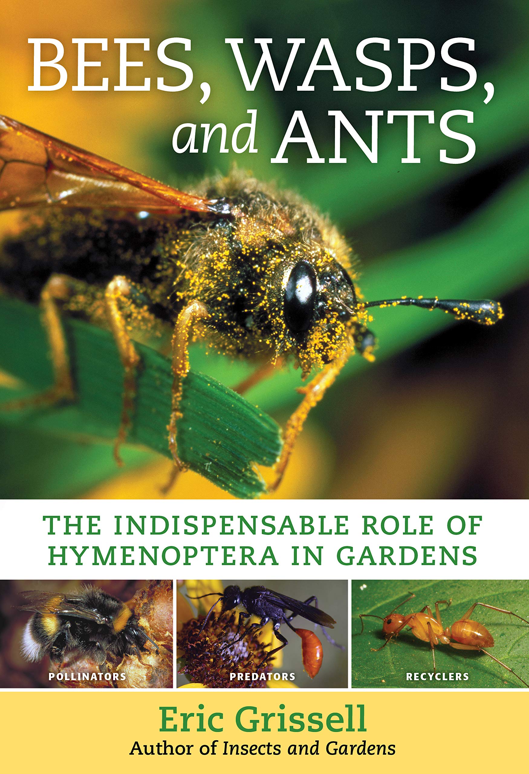 Bees, Wasps, And Ants: The Indispensable Role Of Hymenoptera In Gardens