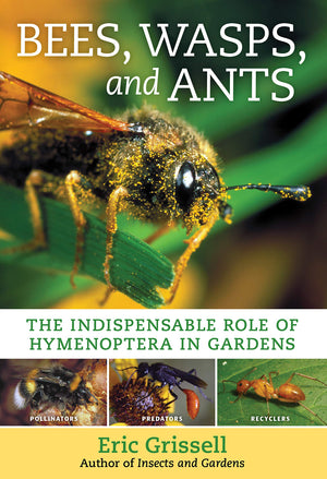 Bees, Wasps, And Ants: The Indispensable Role Of Hymenoptera In Gardens