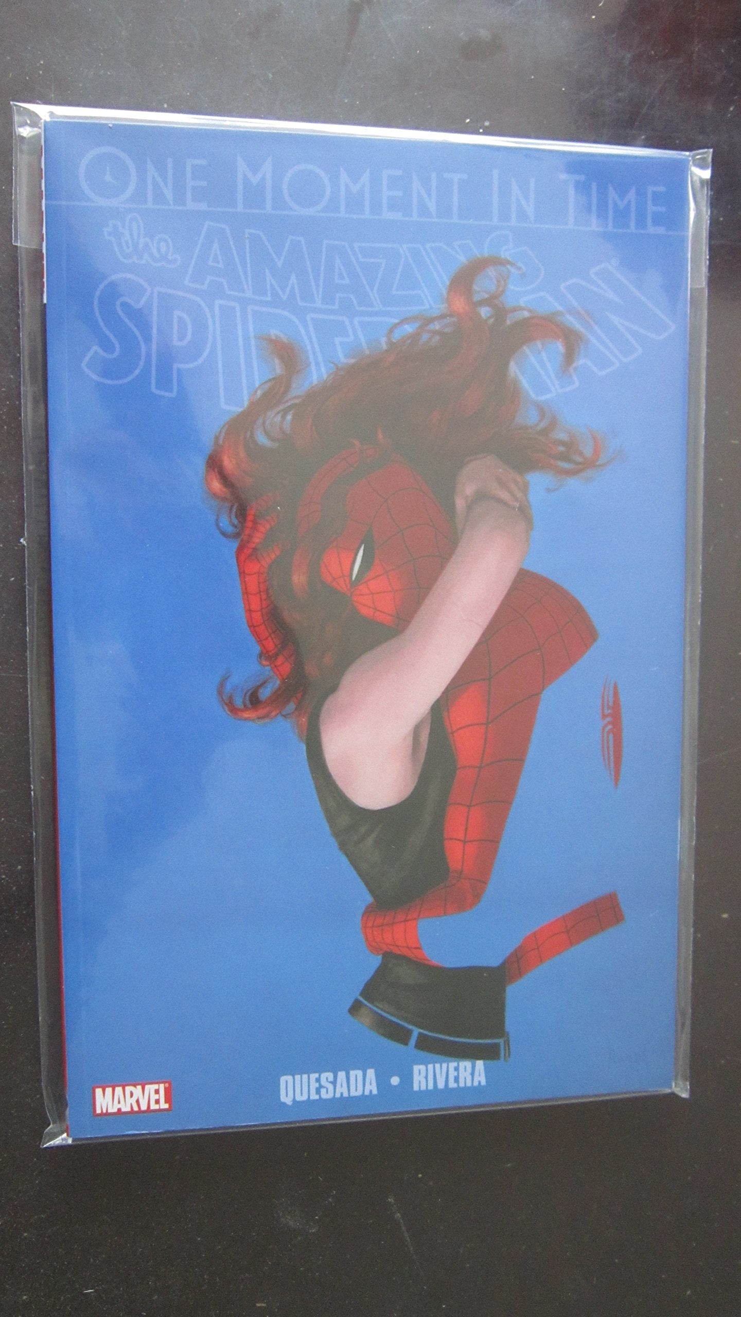 Spiderman: One Moment In Time,New