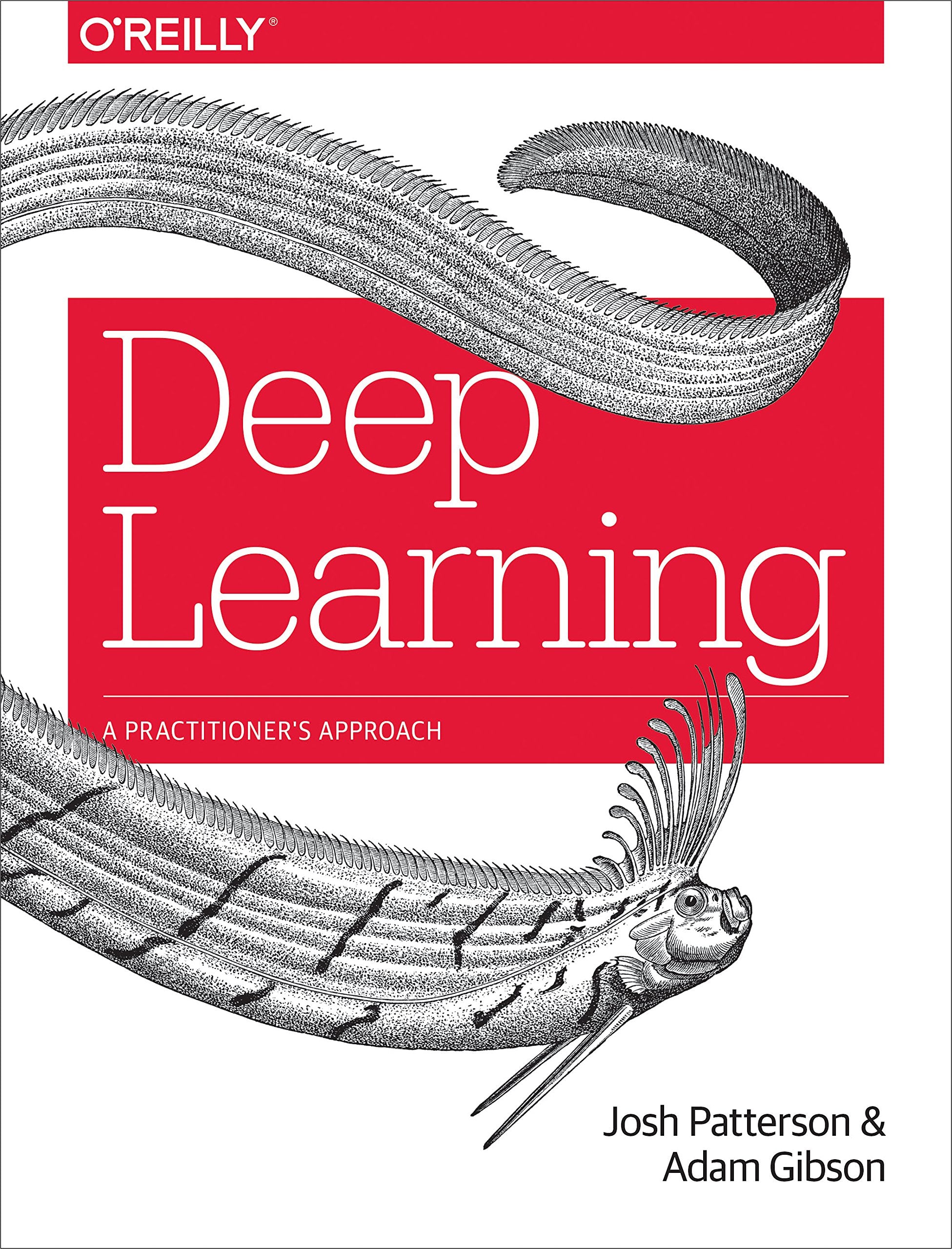 Deep Learning: A Practitioner's Approach,Used