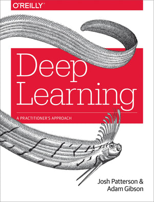 Deep Learning: A Practitioner's Approach,Used
