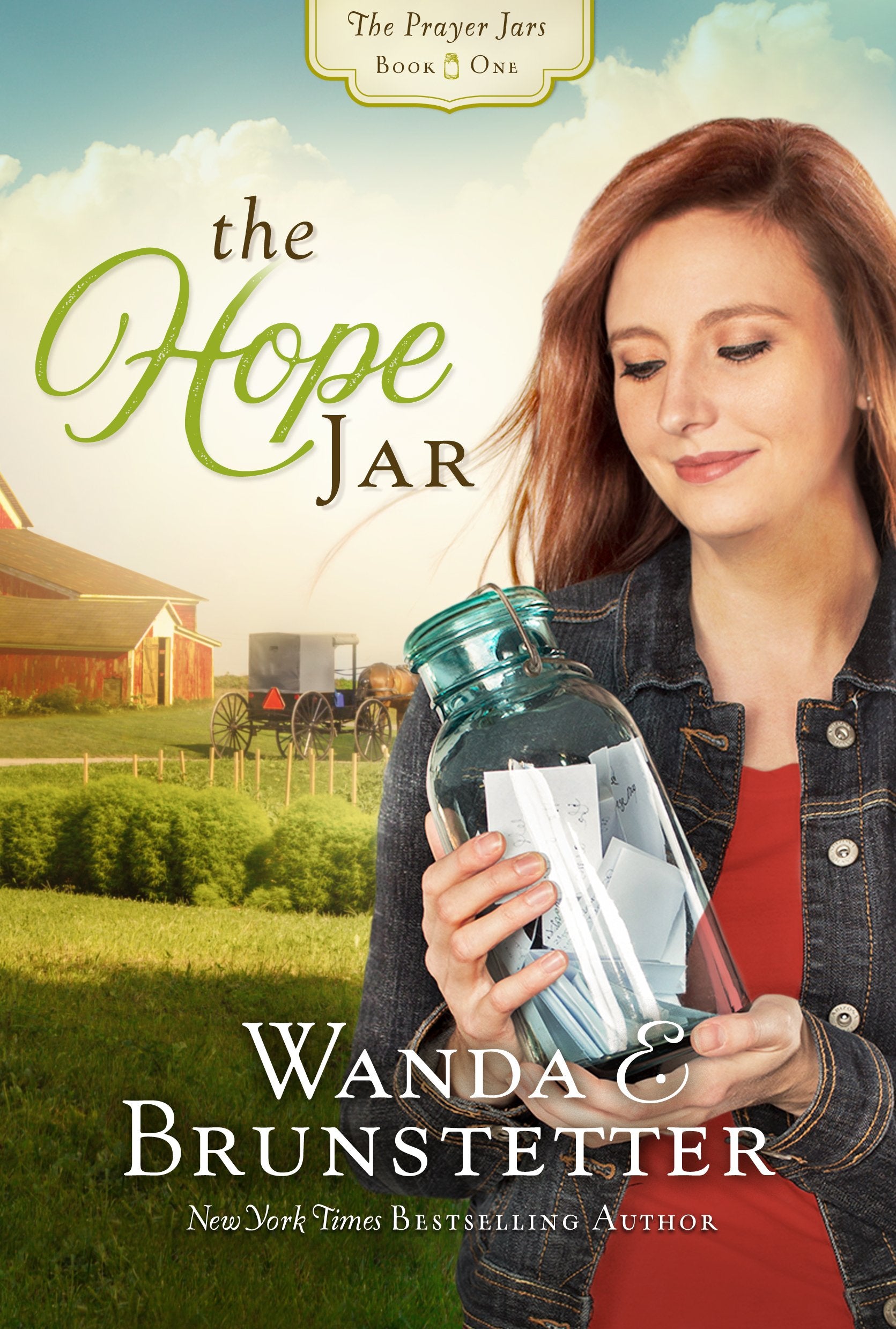 The Hope Jar (The Prayer Jars),Used
