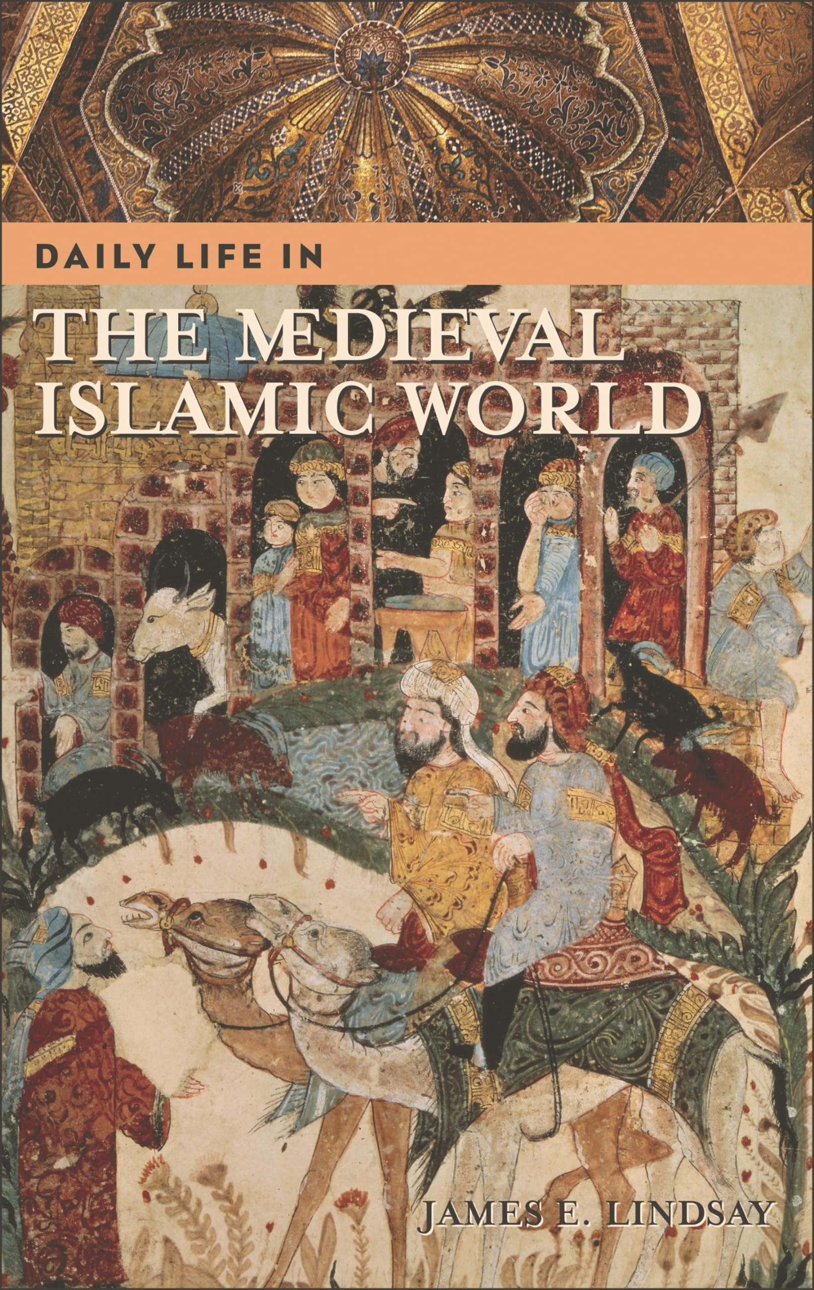 Daily Life in the Medieval Islamic World (The Greenwood Press Daily Life Through History Series),Used