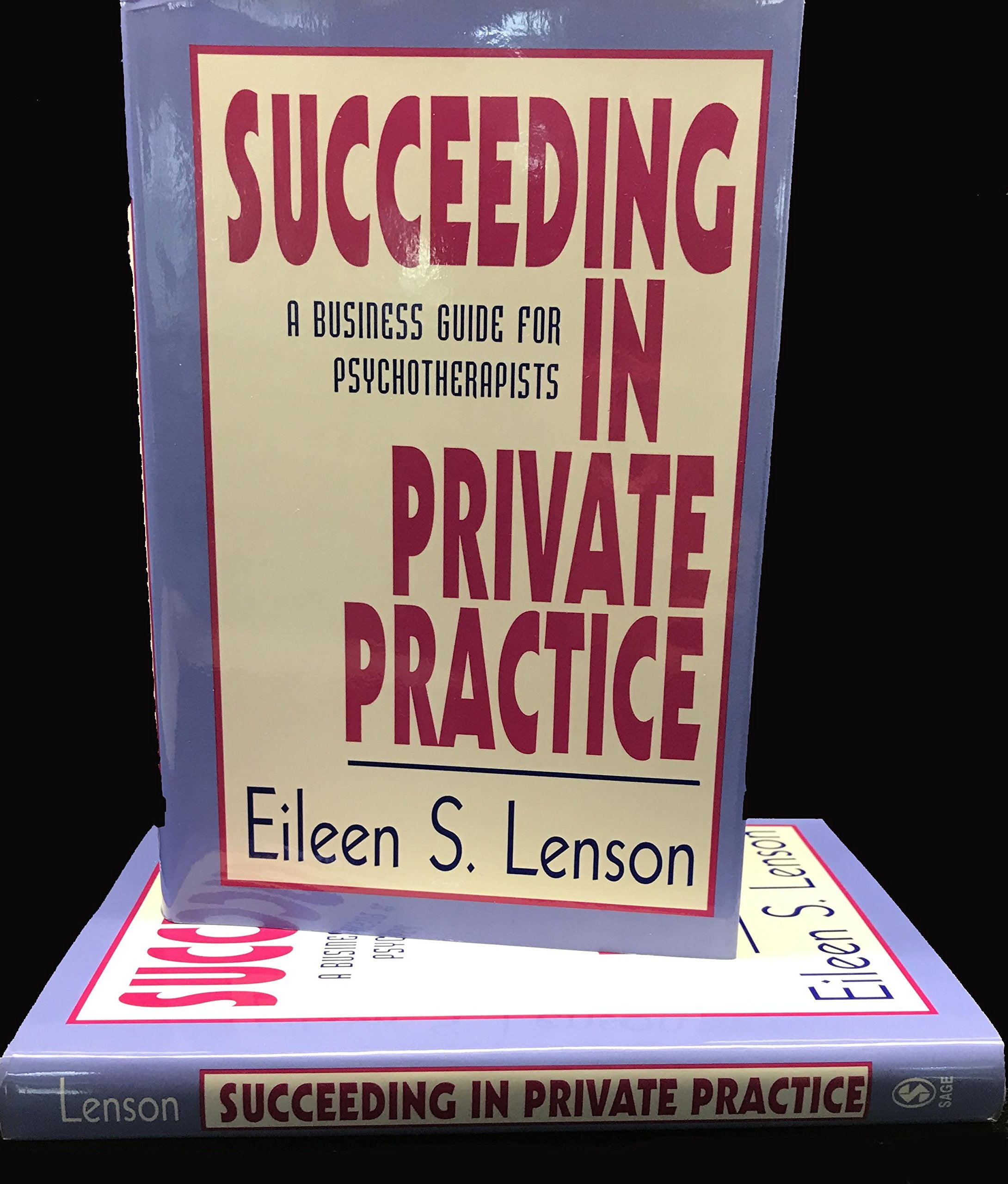 Succeeding in Private Practice: A Business Guide for Psychotherapists,Used