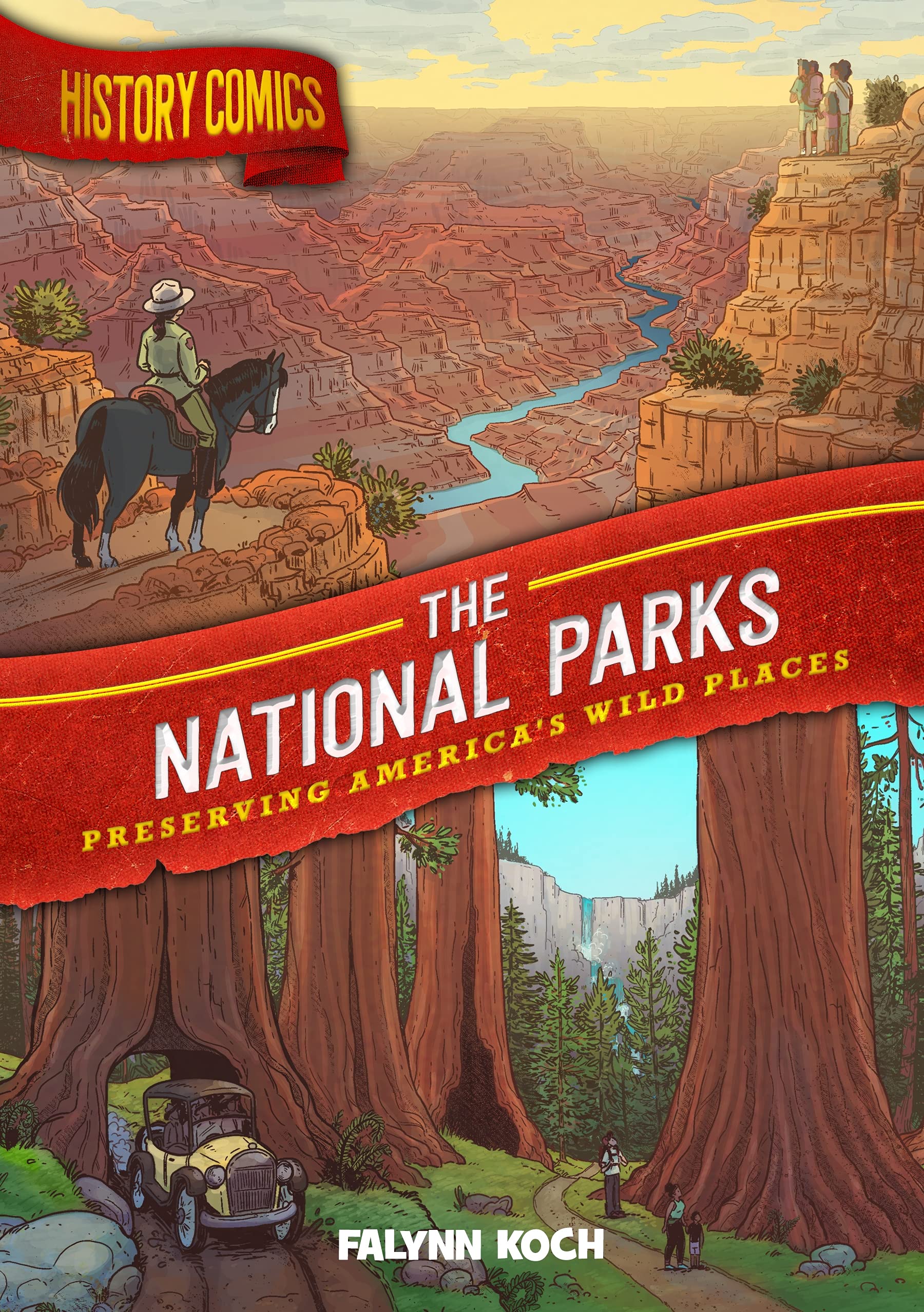 History Comics: The National Parks: Preserving America'S Wild Places,Used
