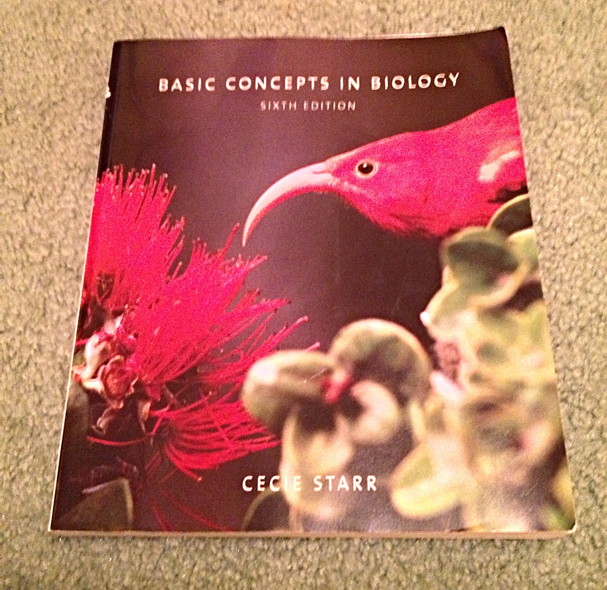Basic Concepts in Biology (Brooks/Cole Biology),Used