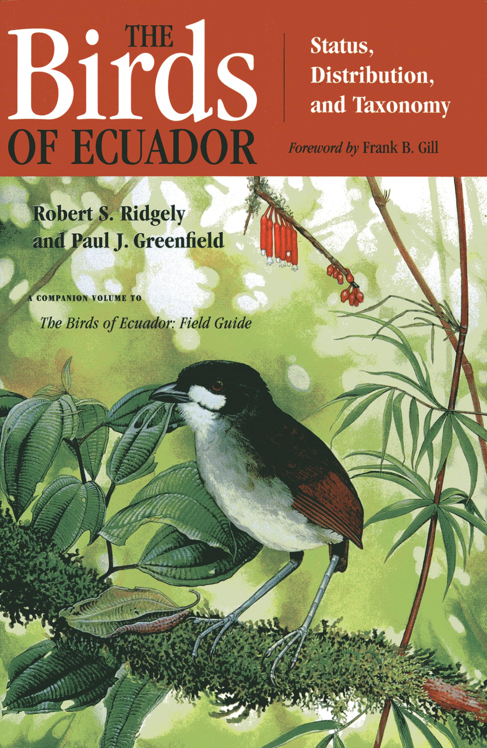 The Birds Of Ecuador: Field Guide,Used
