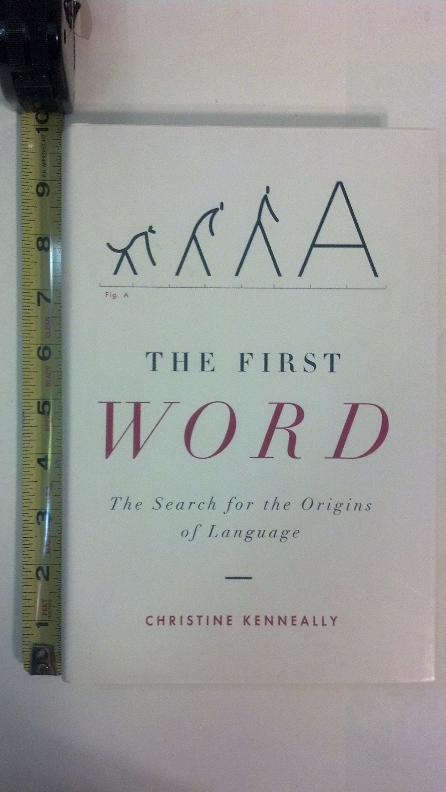 The First Word: The Search For The Origins Of Language,Used