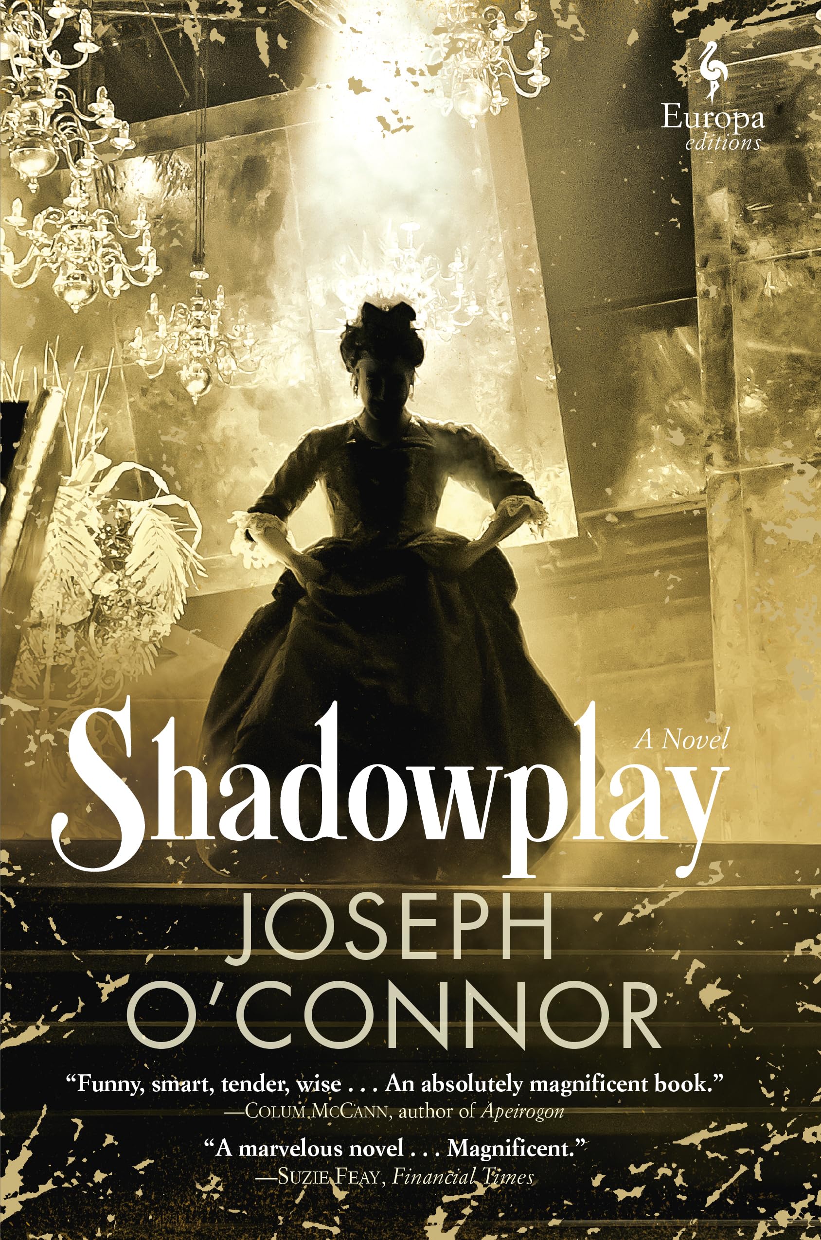 Shadowplay: A Novel,Used