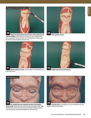 Power Carving Manual: Tools, Techniques, and 16 AllTime Favorite Projects (The Best of Woodcarving Illustrated) (Fox Chapel Pub,Used