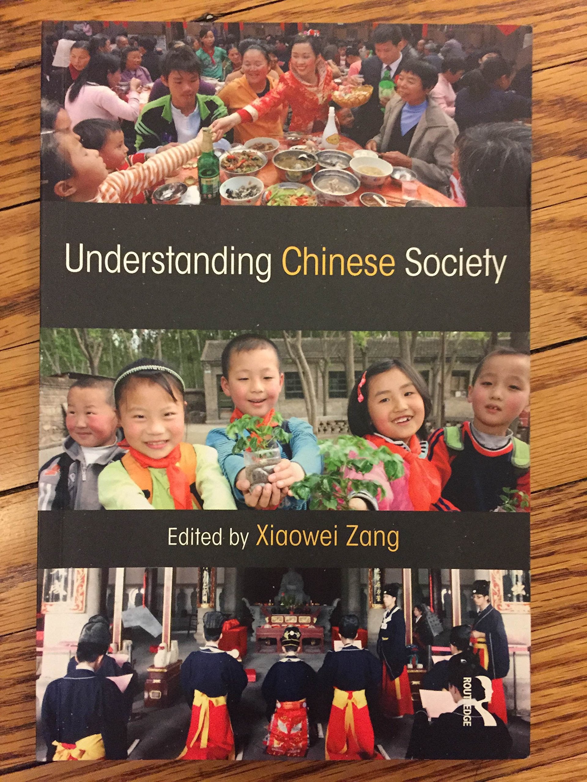 Understanding Chinese Society,Used