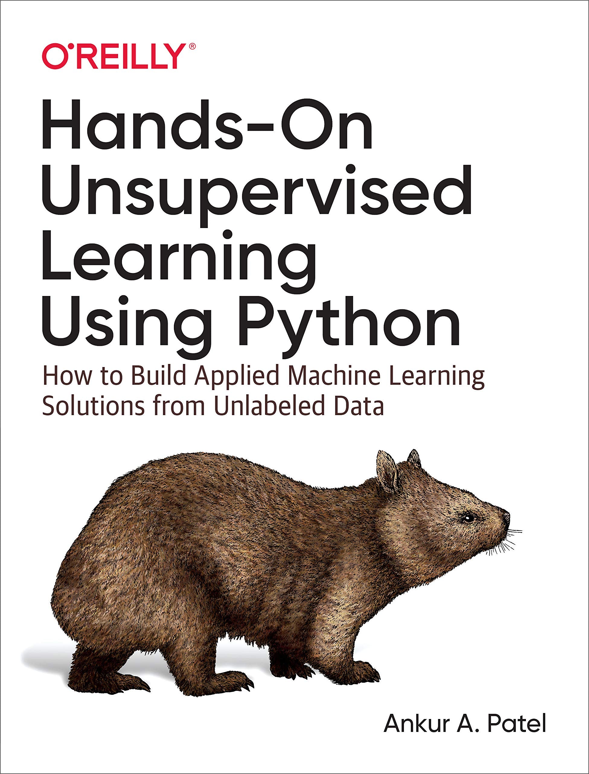 HandsOn Unsupervised Learning Using Python: How to Build Applied Machine Learning Solutions from Unlabeled Data,Used