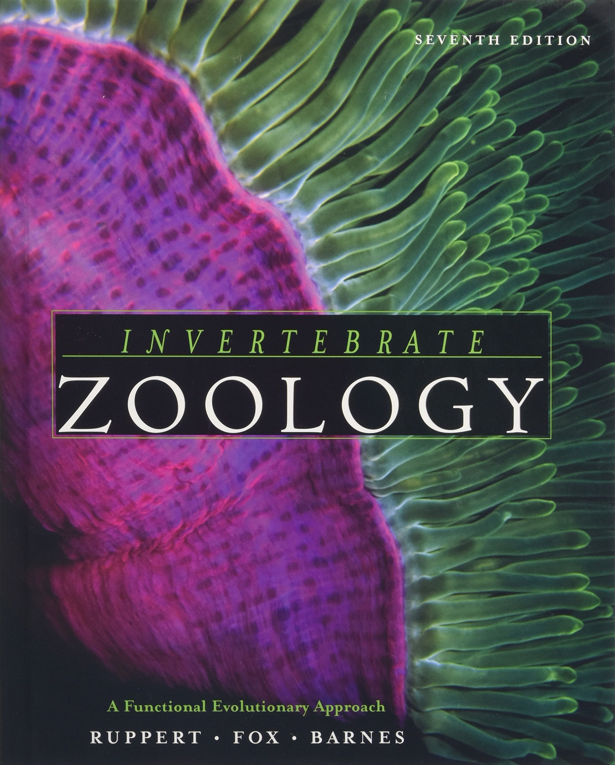 Invertebrate Zoology: A Functional Evolutionary Approach,Used