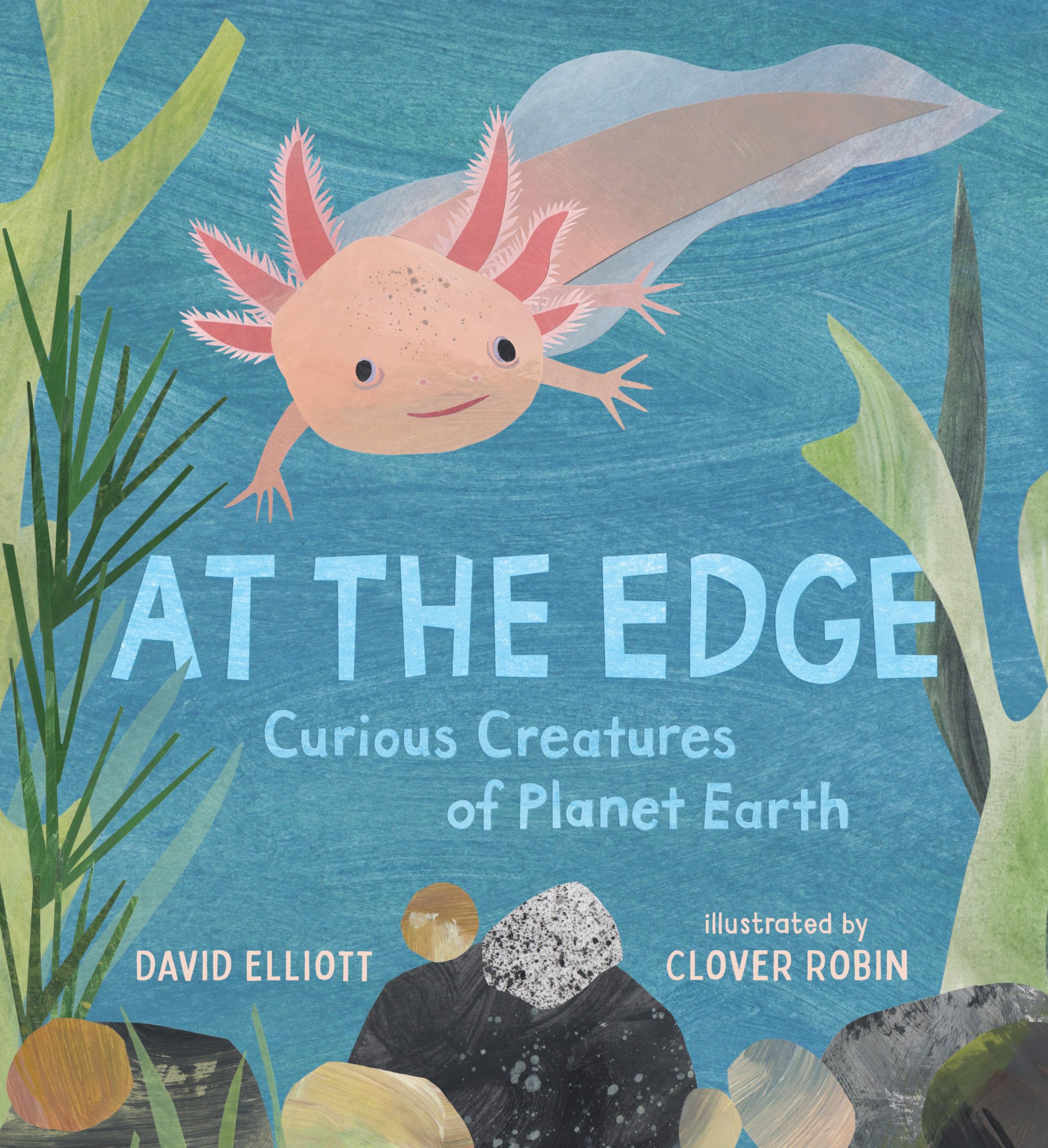 At The Edge: Curious Creatures Of Planet Earth (Paws, Fins, Feathers, Claws)