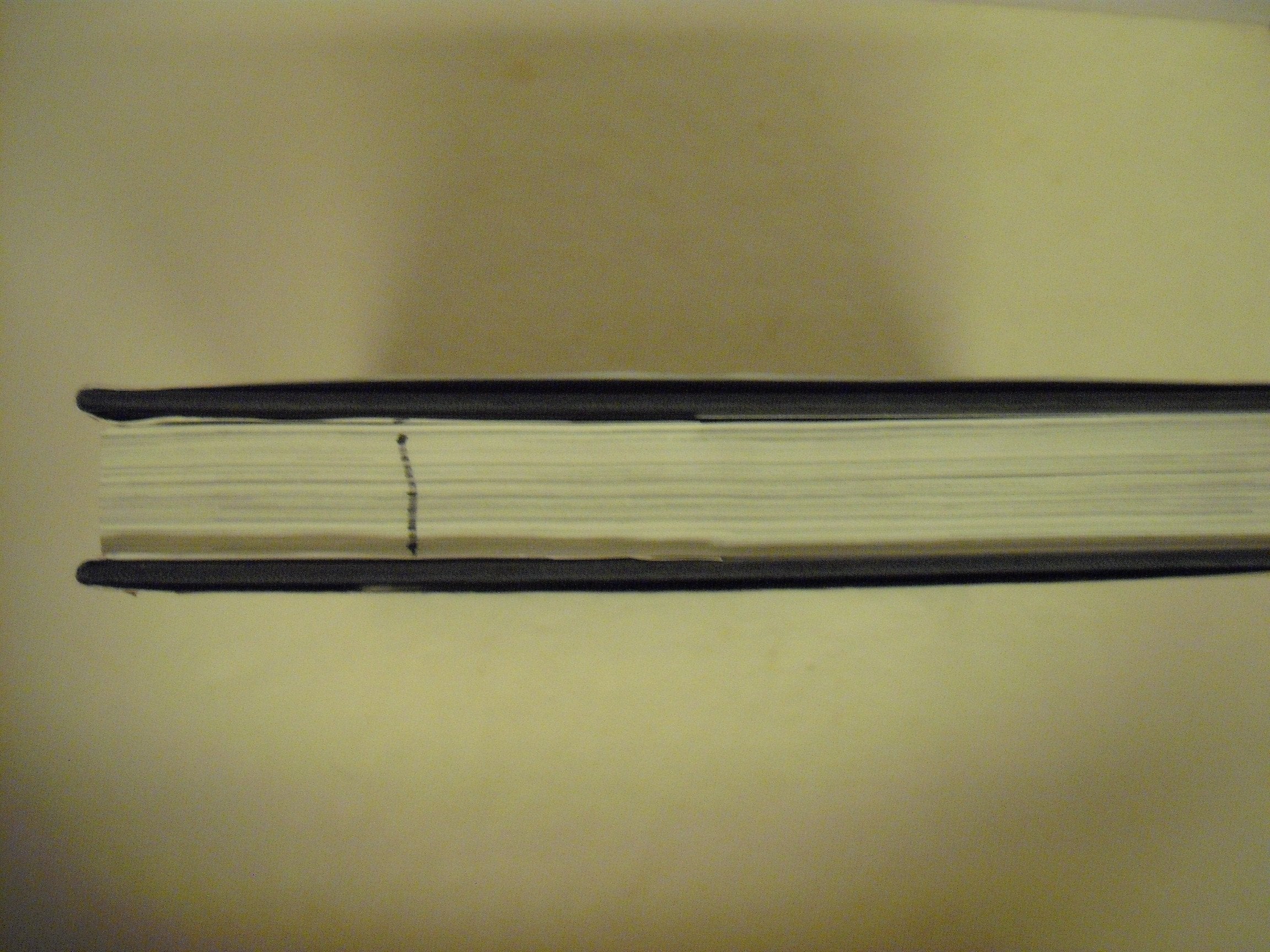 The Jews in the Twentieth Century: An Illustrated History,Used