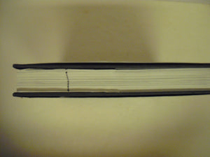 The Jews in the Twentieth Century: An Illustrated History,Used