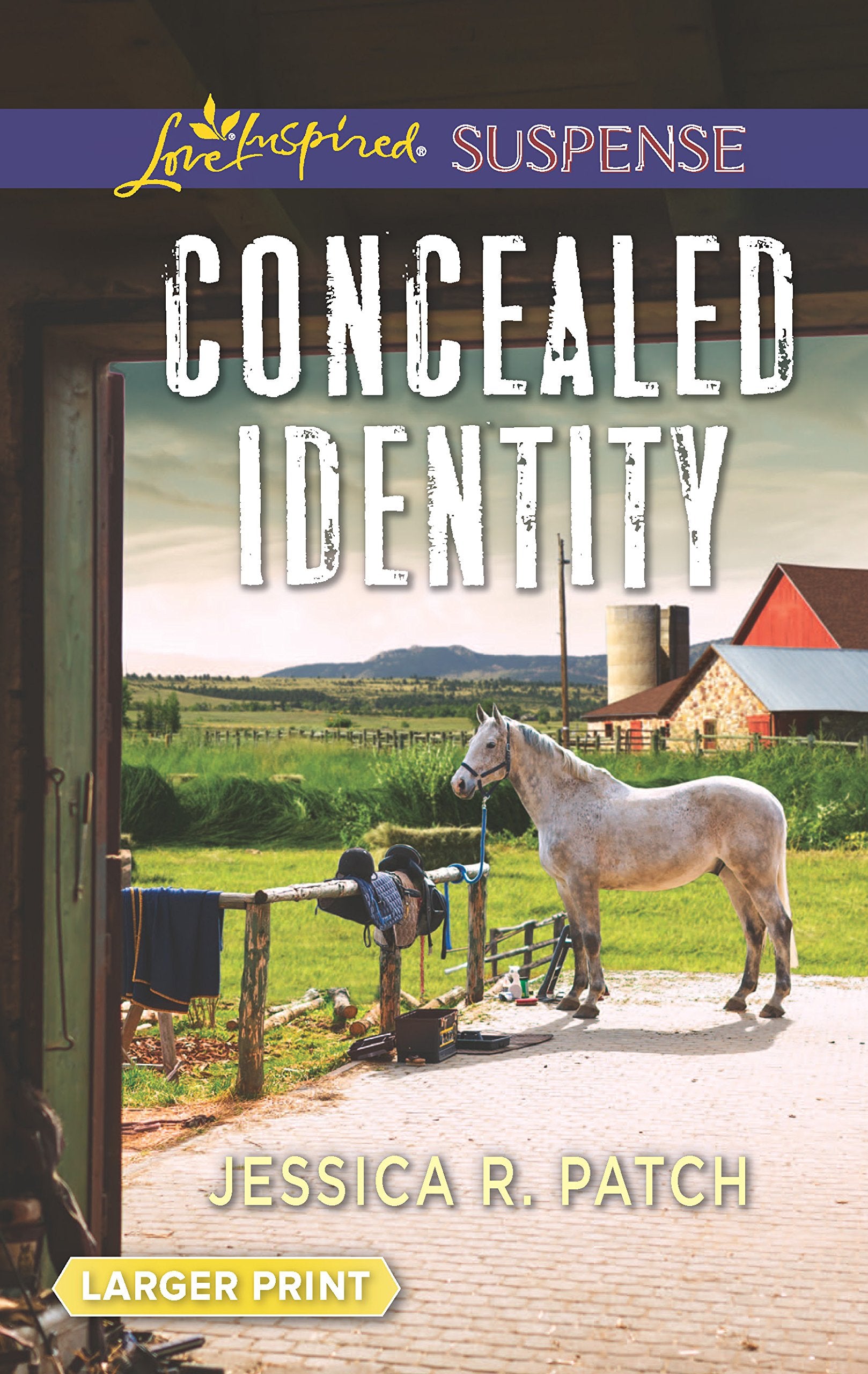 Concealed Identity (Love Inspired Suspense),Used