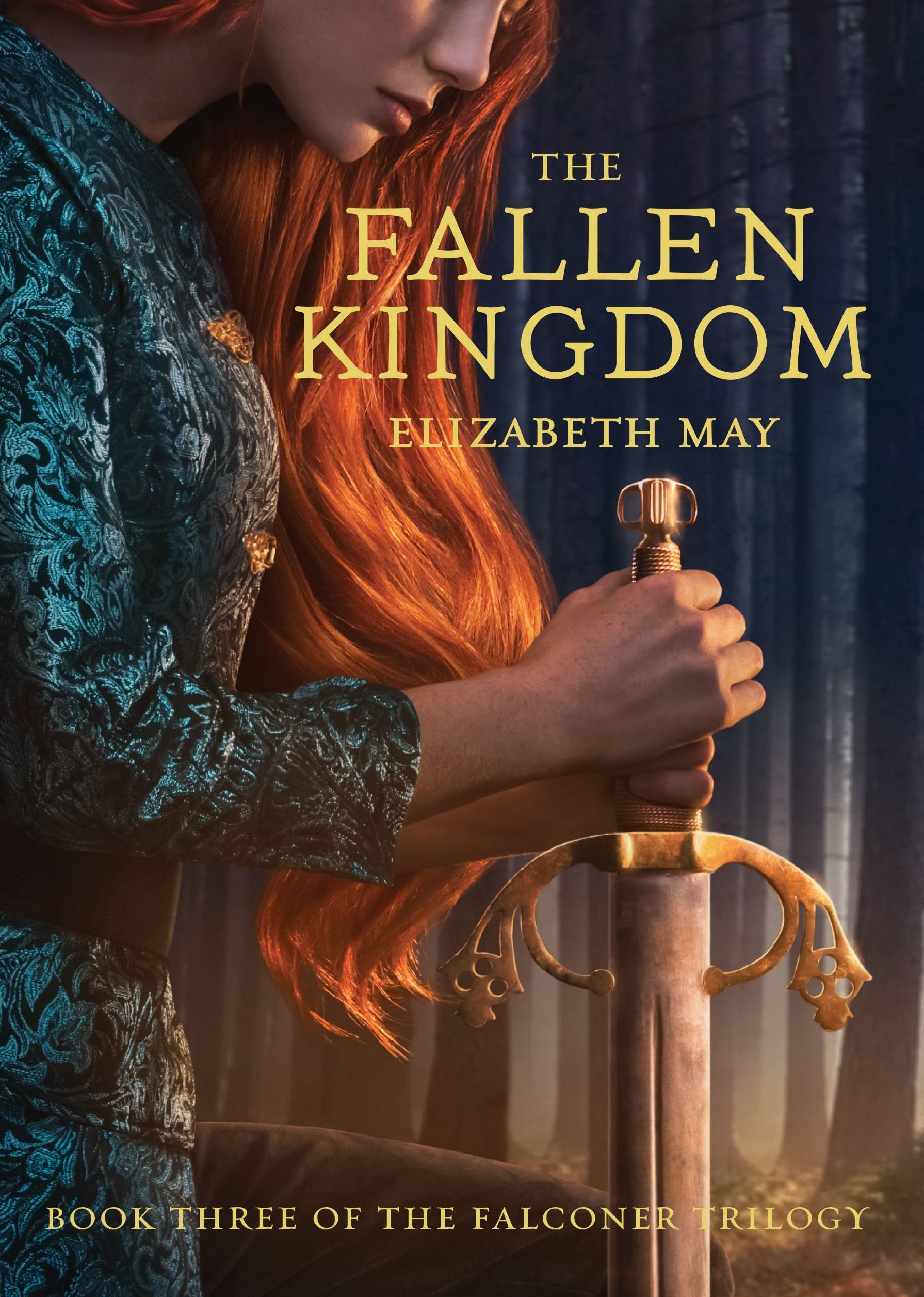 The Fallen Kingdom: Book Three of the Falconer Trilogy (Young Adult Books, Fantasy Novels, Trilogies for Young Adults) (The Falc,Used