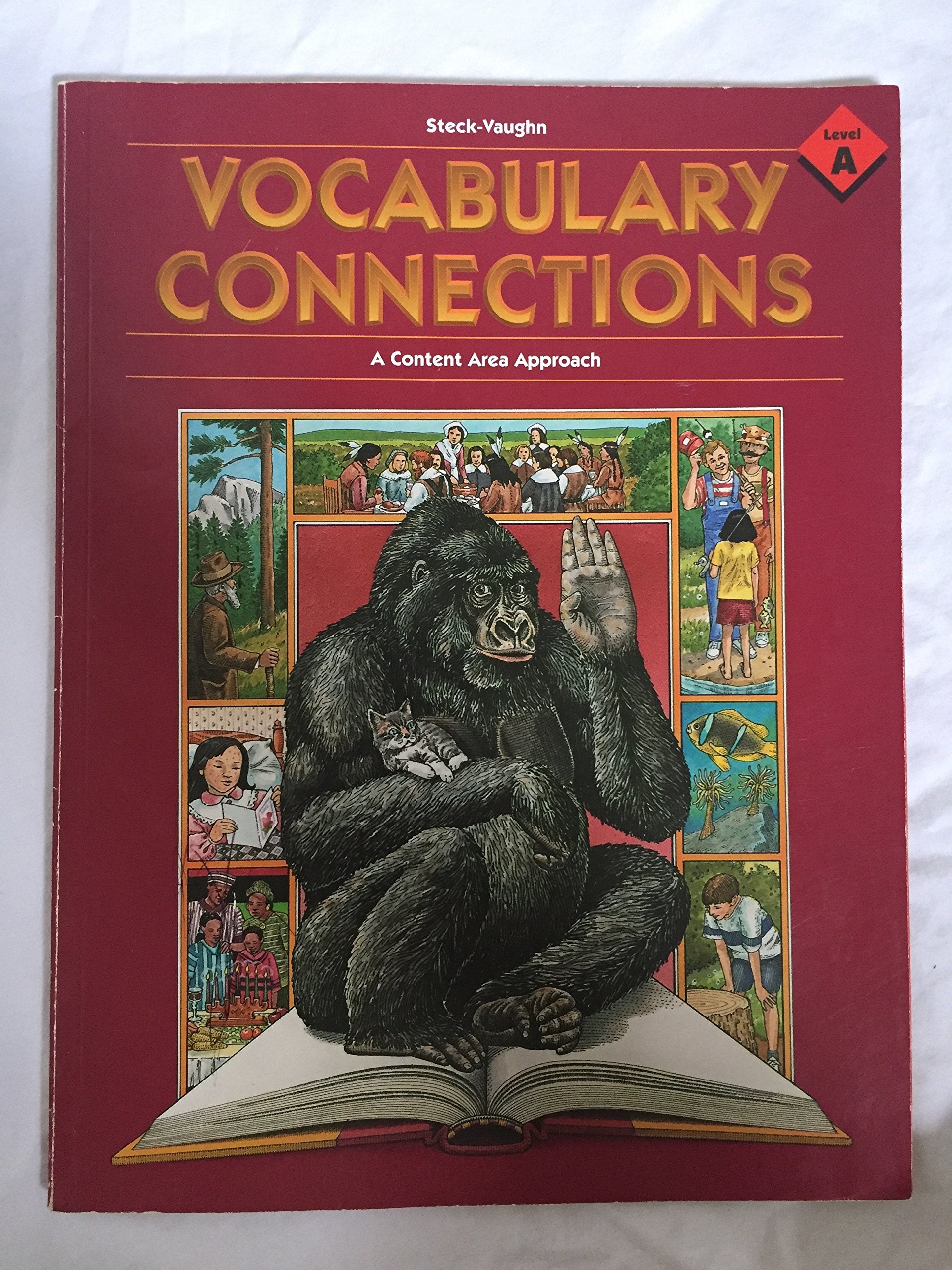 Vocabulary Connections : Level A,Used