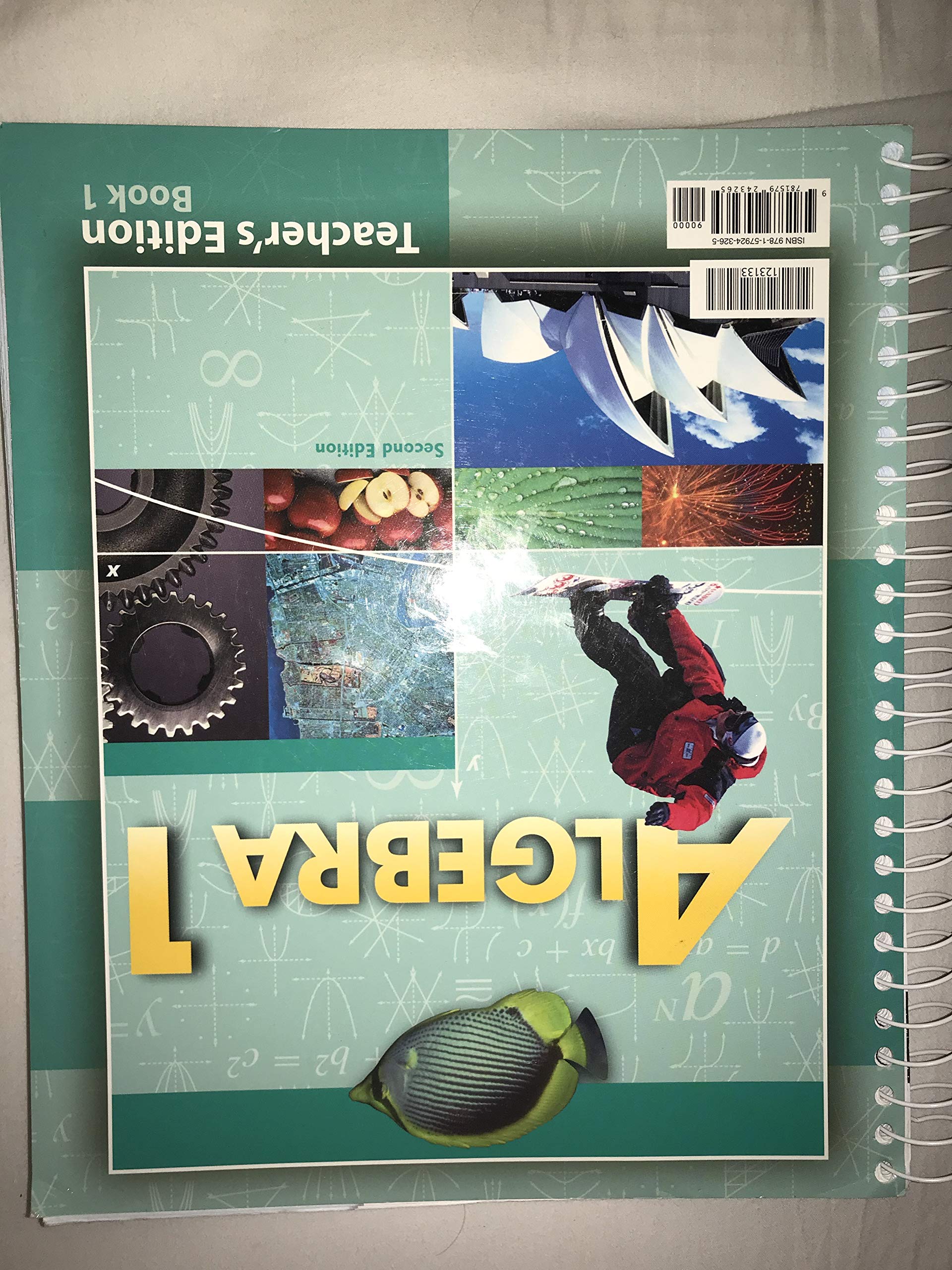 Algebra 1 Teacher's Edition 2nd Edition,Used