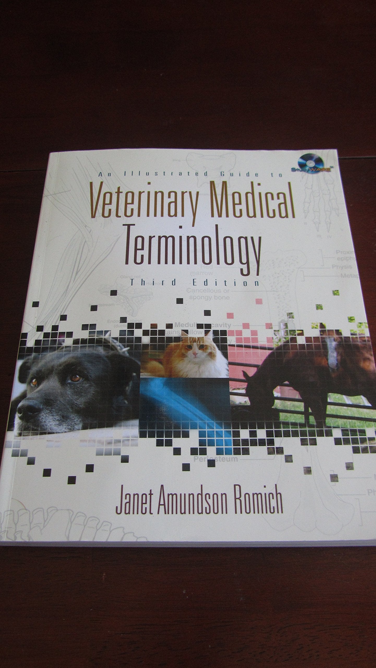 An Illustrated Guide to Veterinary Medical Terminology (Veterinary Technology),Used
