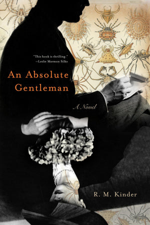 An Absolute Gentleman: A Novel,Used